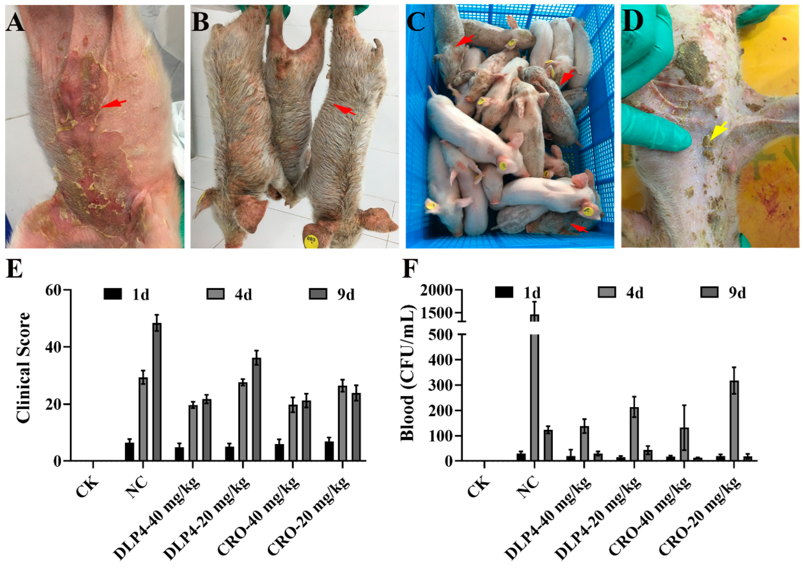 Pharmaceutics 16 01350 g006