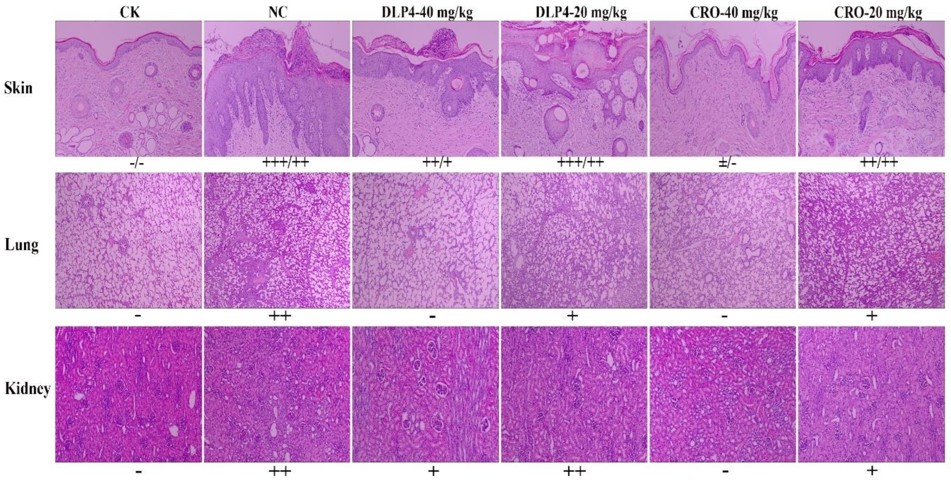 Pharmaceutics 16 01350 g009