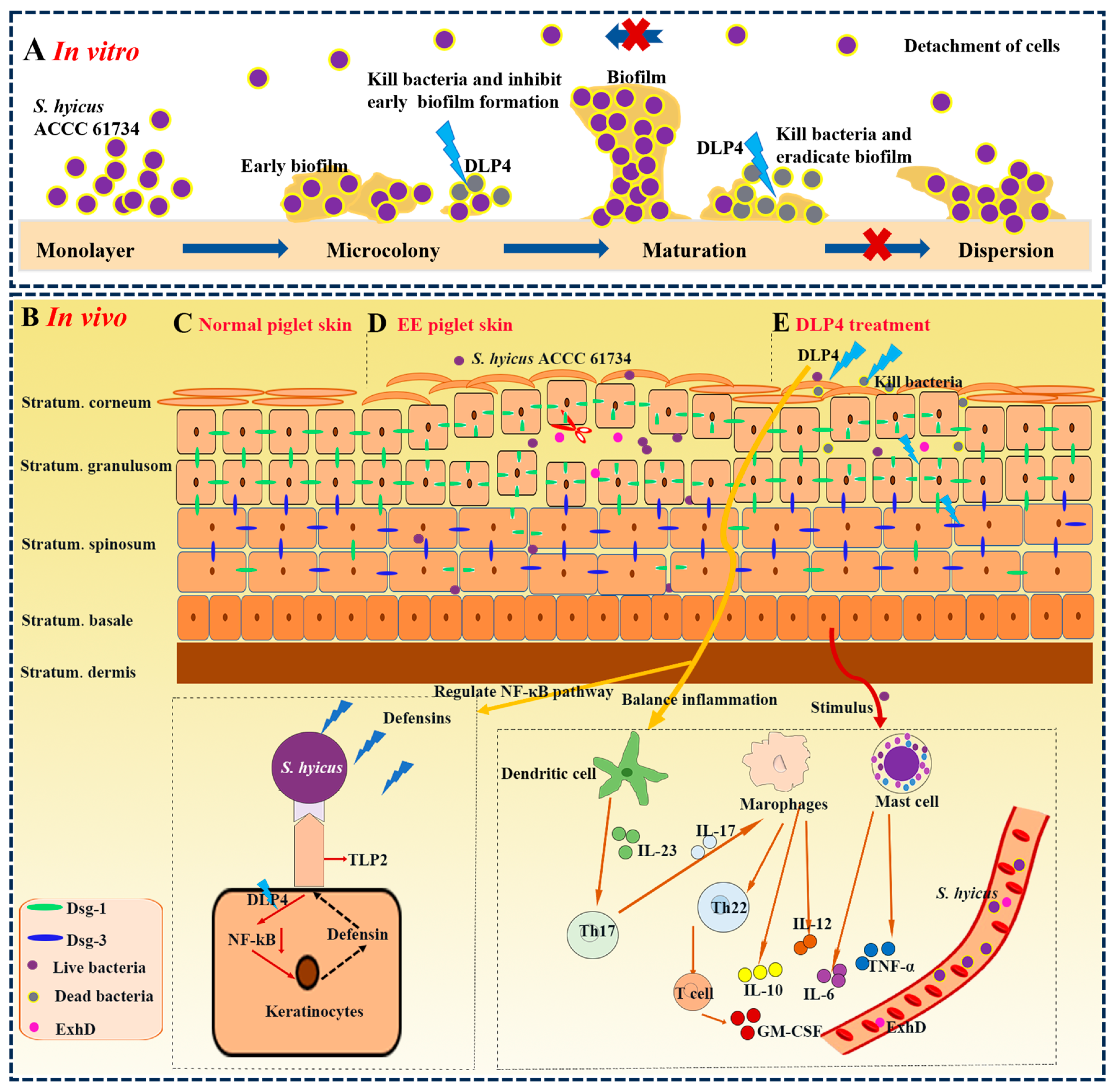 Pharmaceutics 16 01350 g010