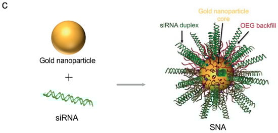 Pharmaceutics 16 01367 g005b