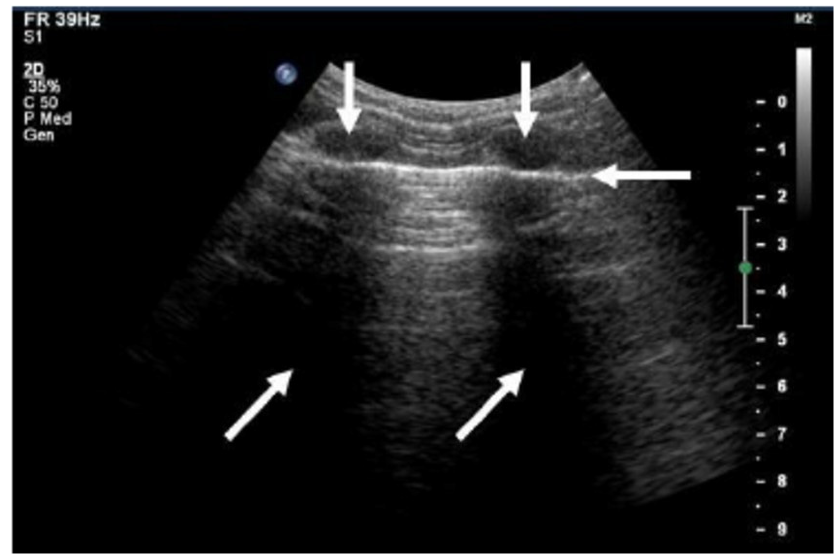 Pharmaceutics 16 01383 g003