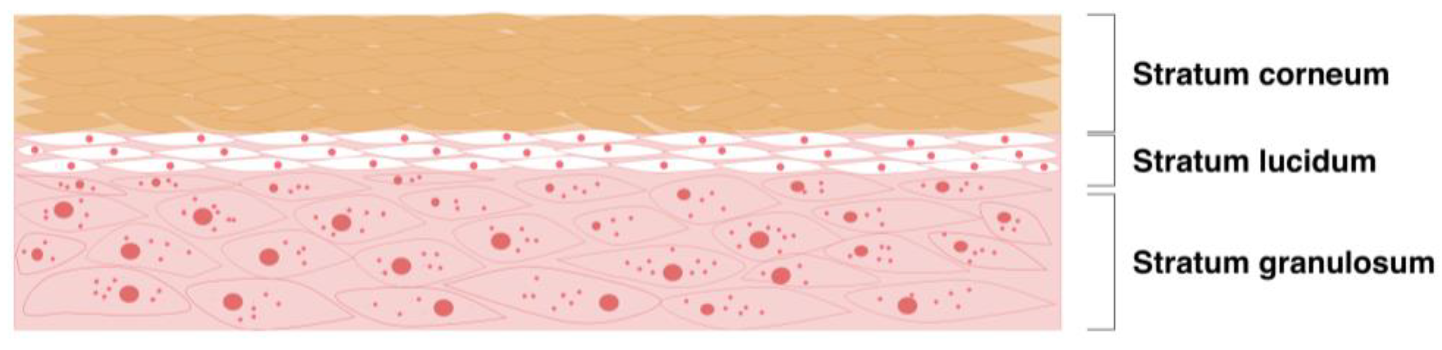Pharmaceutics 16 01403 g004