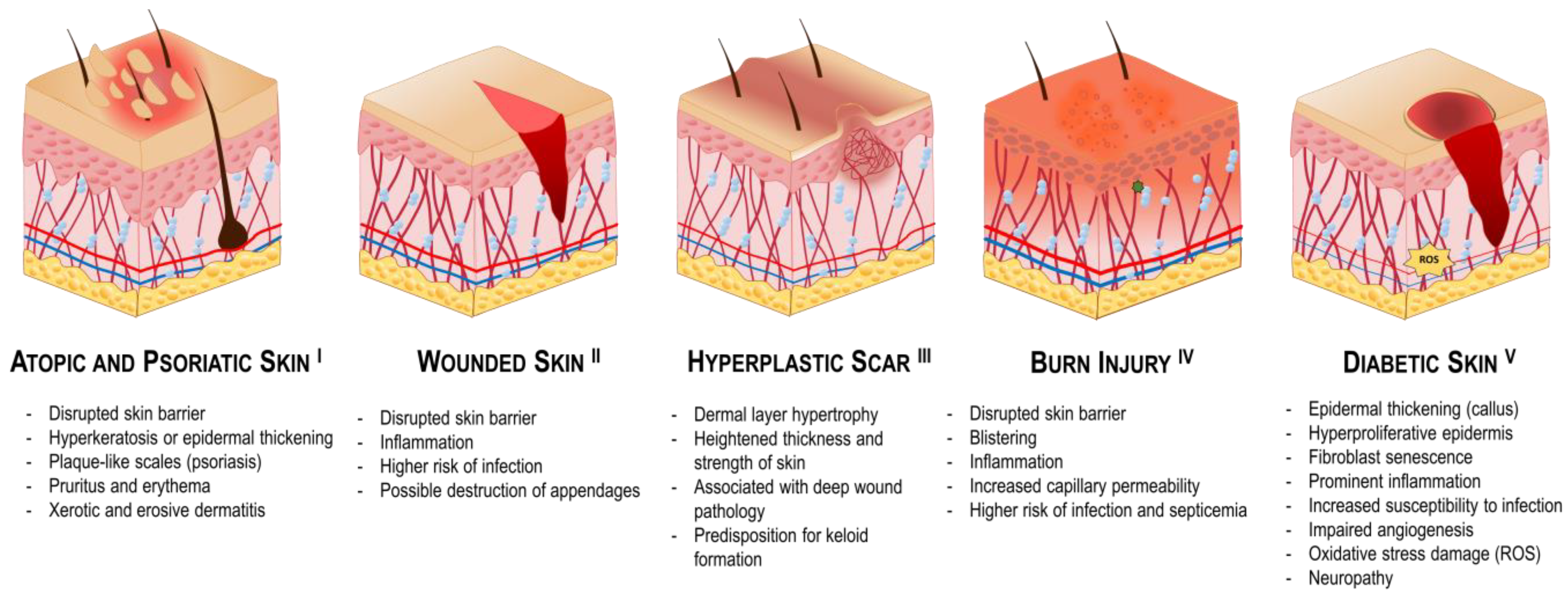 Pharmaceutics 16 01403 g006