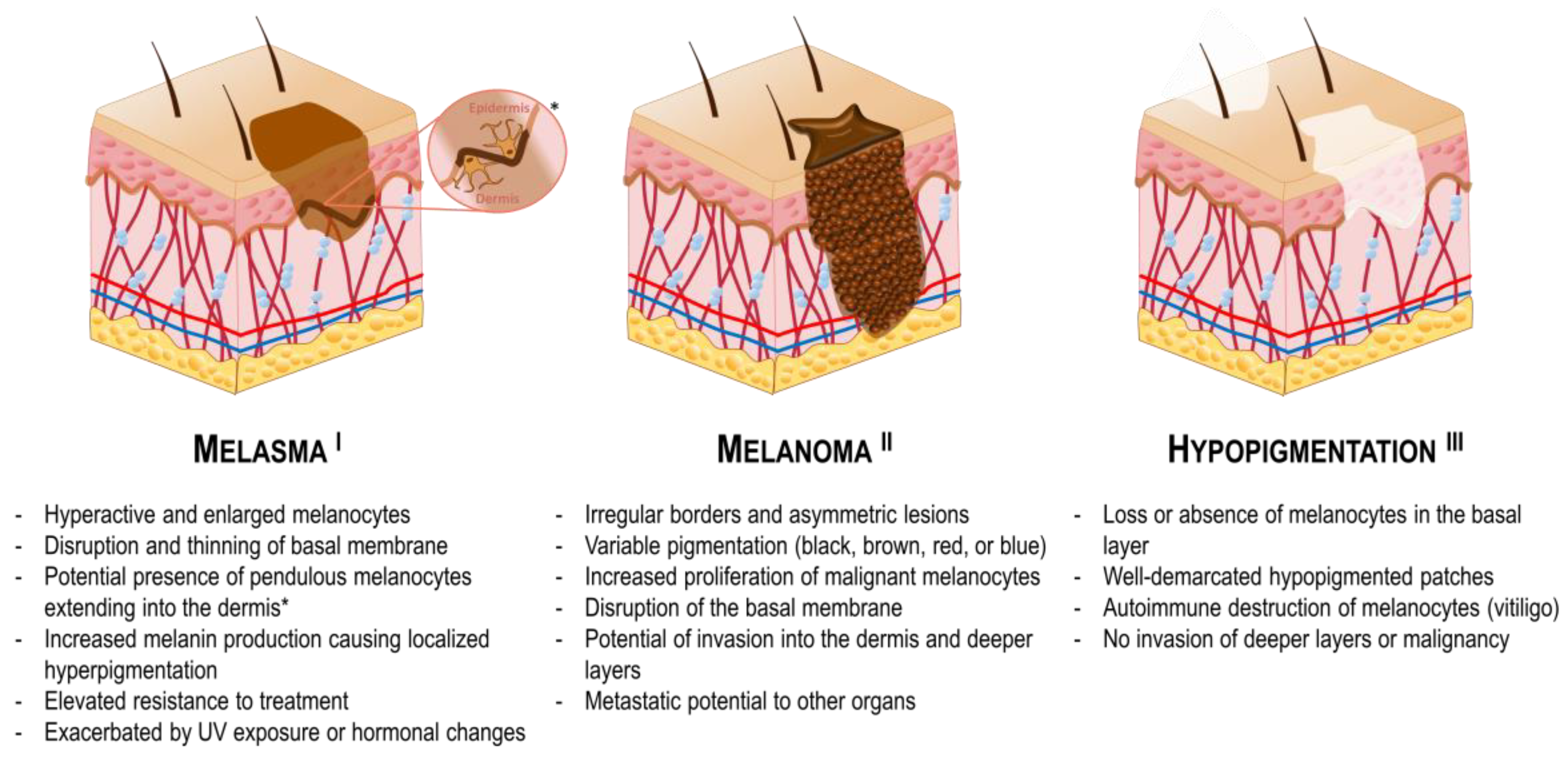 Pharmaceutics 16 01403 g007