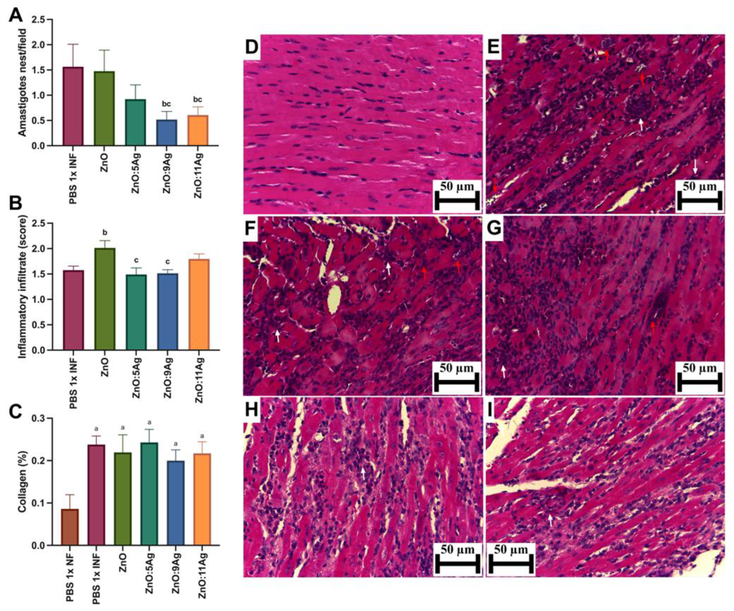 Pharmaceutics 16 01415 g003