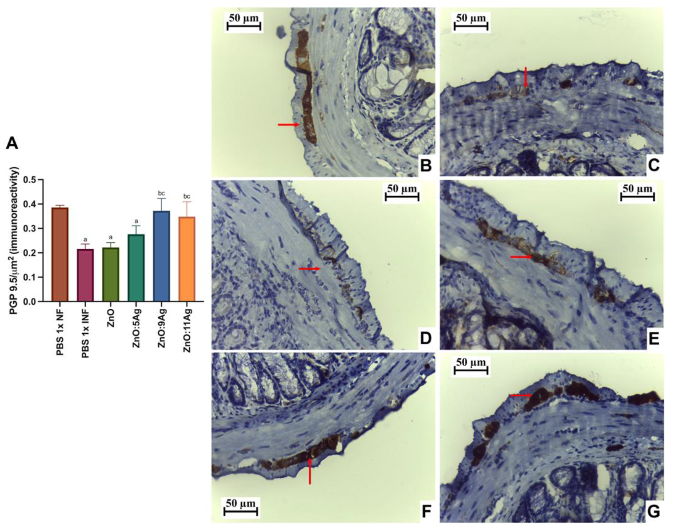 Pharmaceutics 16 01415 g005
