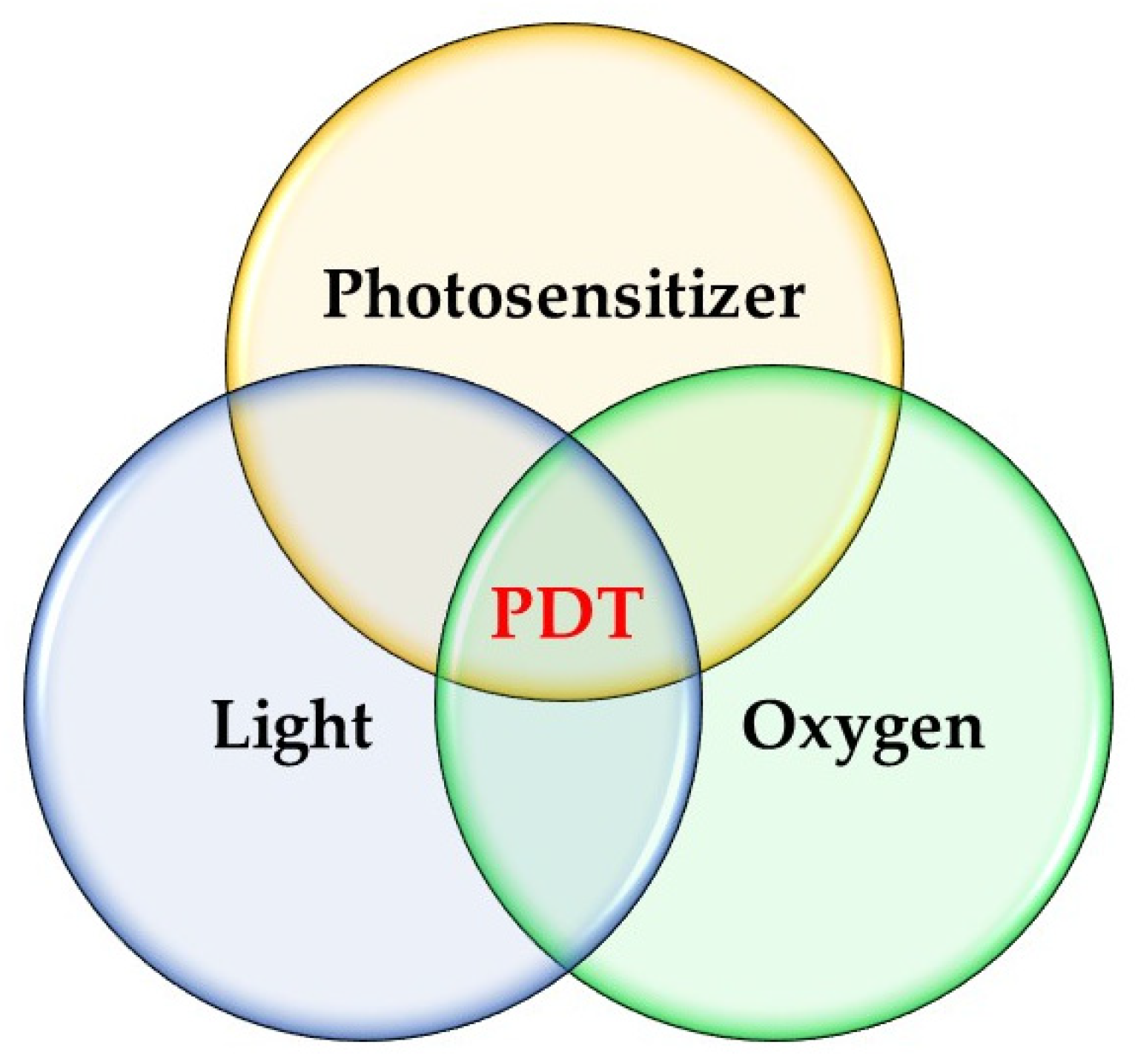 Pharmaceutics 16 01420 g001
