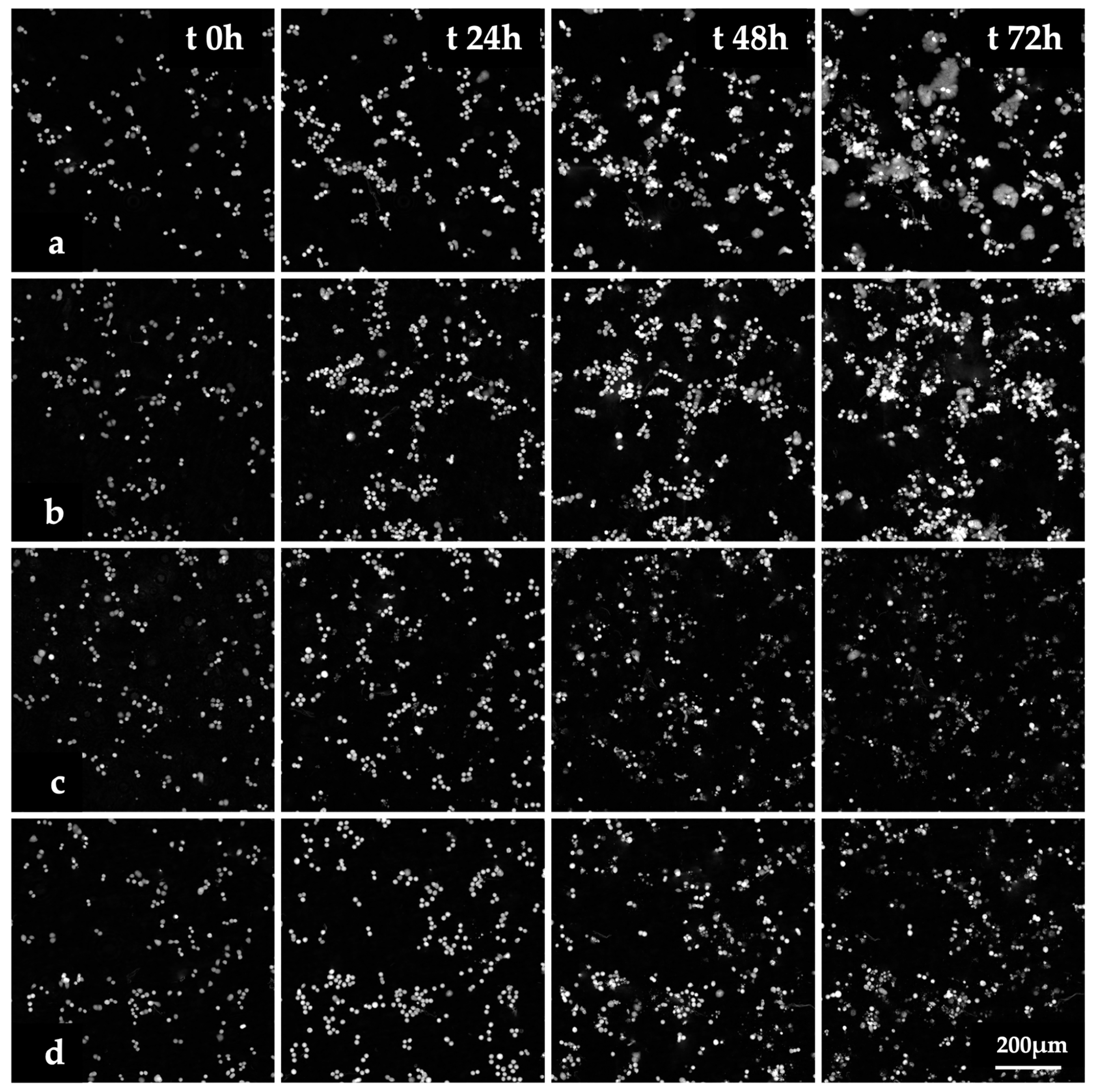 Pharmaceutics 16 01421 g004