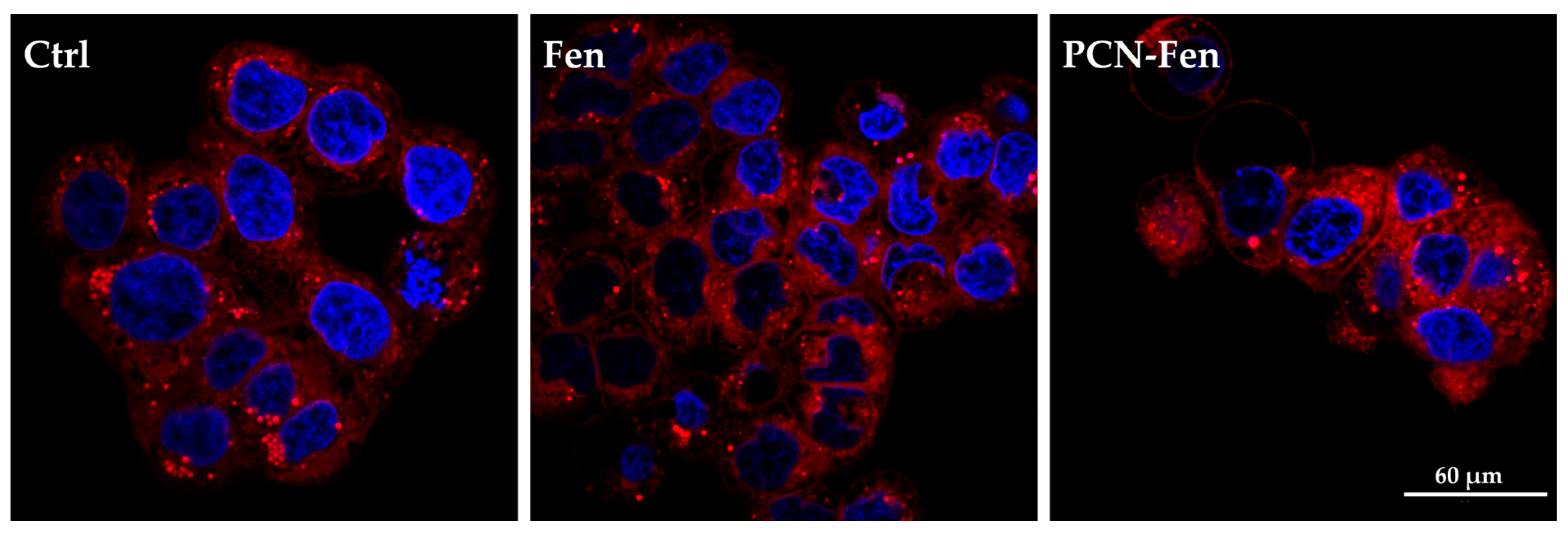 Pharmaceutics 16 01421 g009