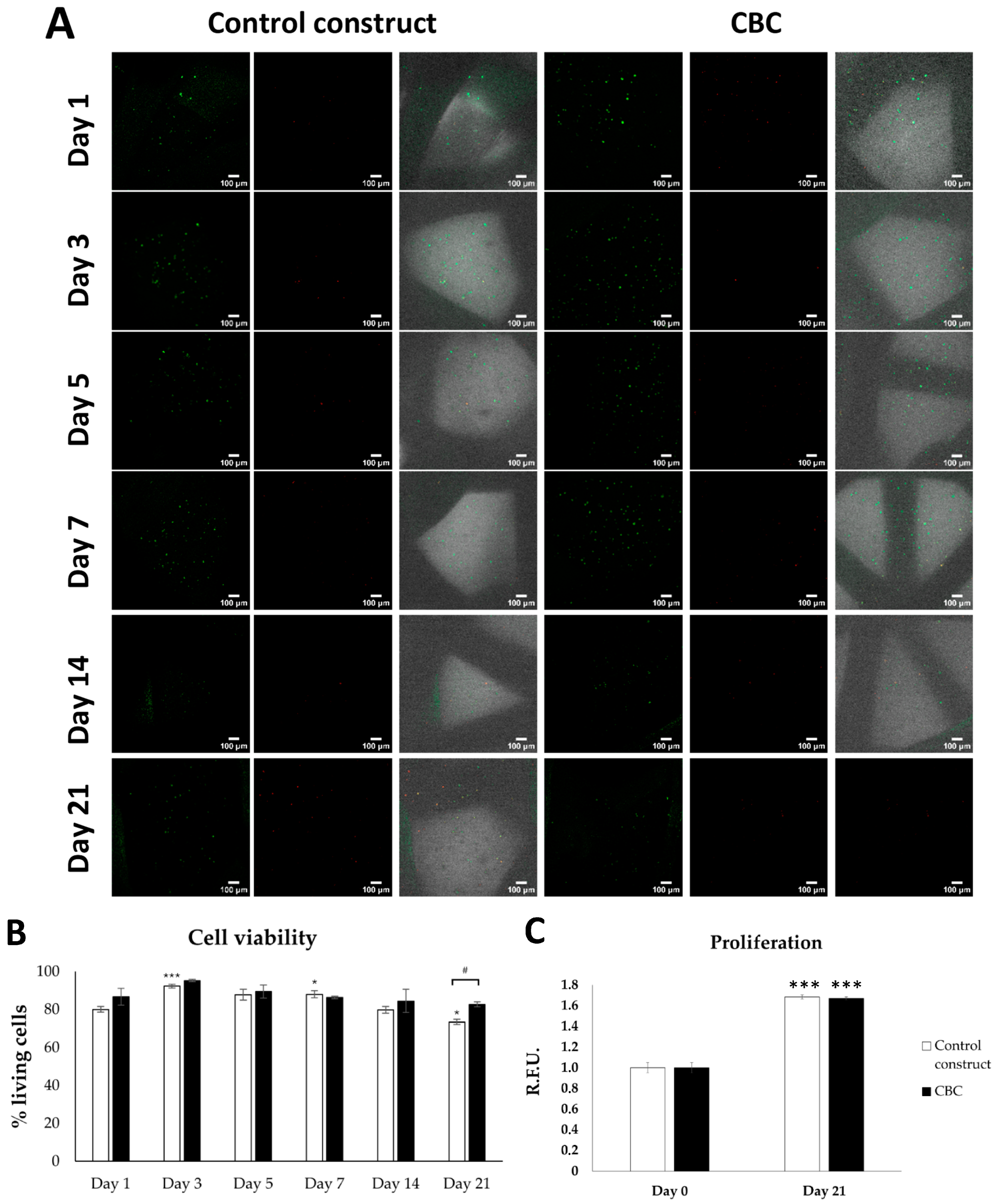 Pharmaceutics 16 01422 g004 Pharmaceutics 16 01422 g004