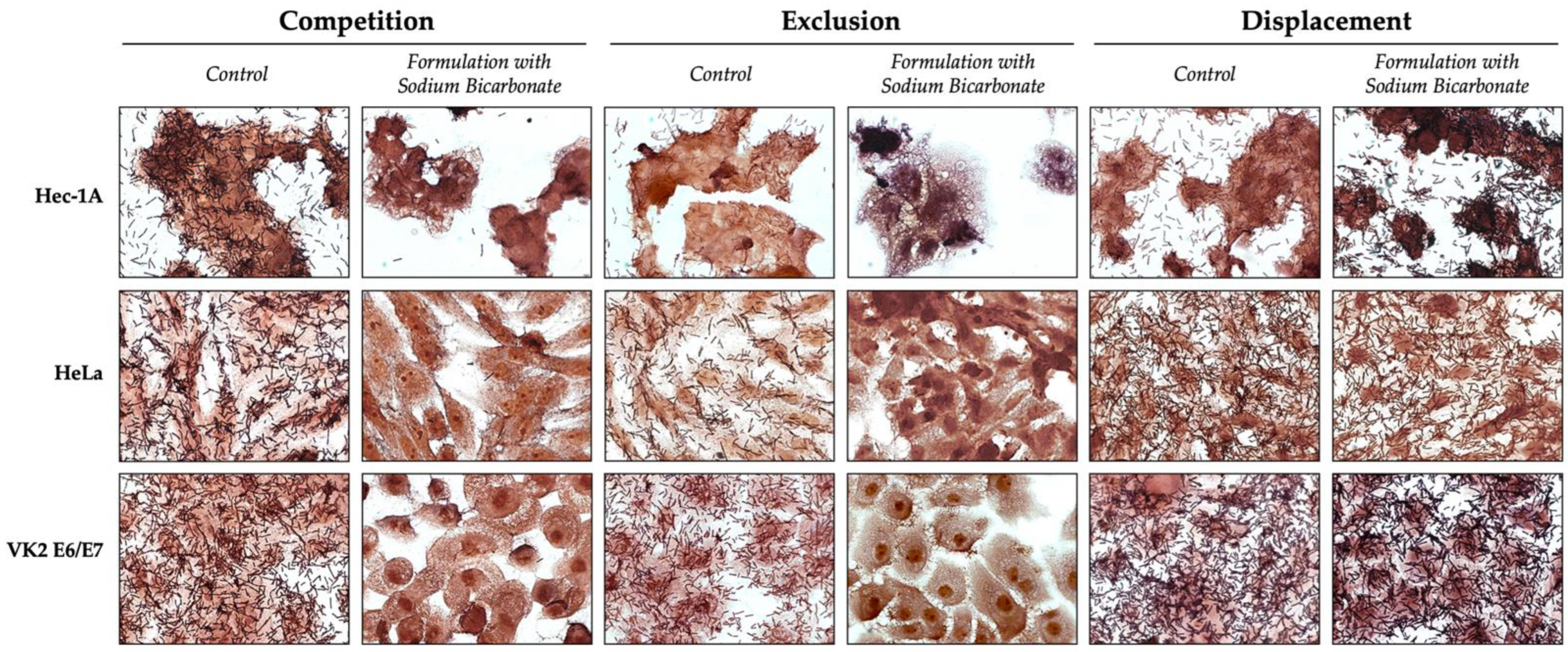 Pharmaceutics 16 01436 g008