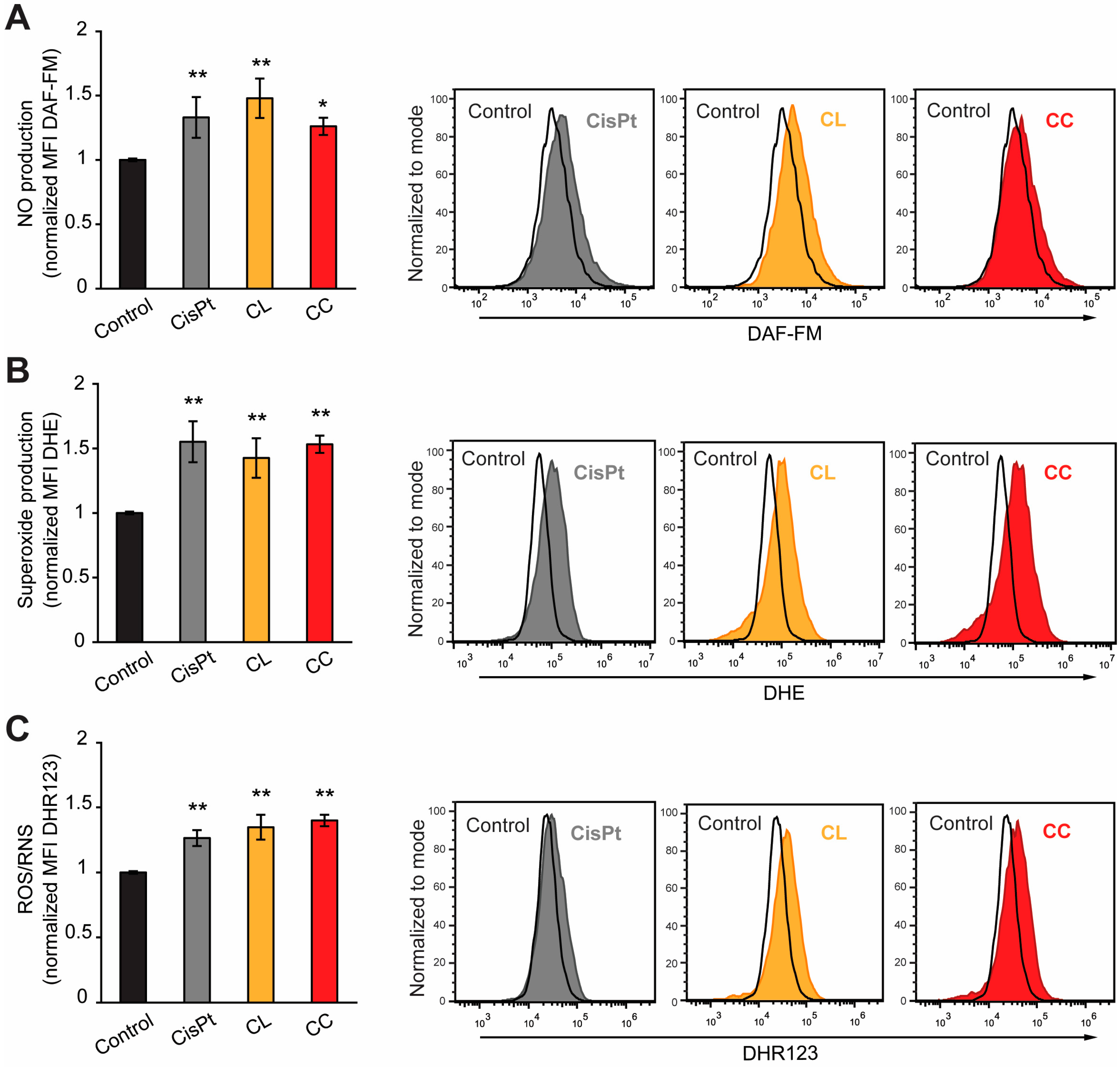 Pharmaceutics 16 01437 g004 Pharmaceutics 16 01437 g004