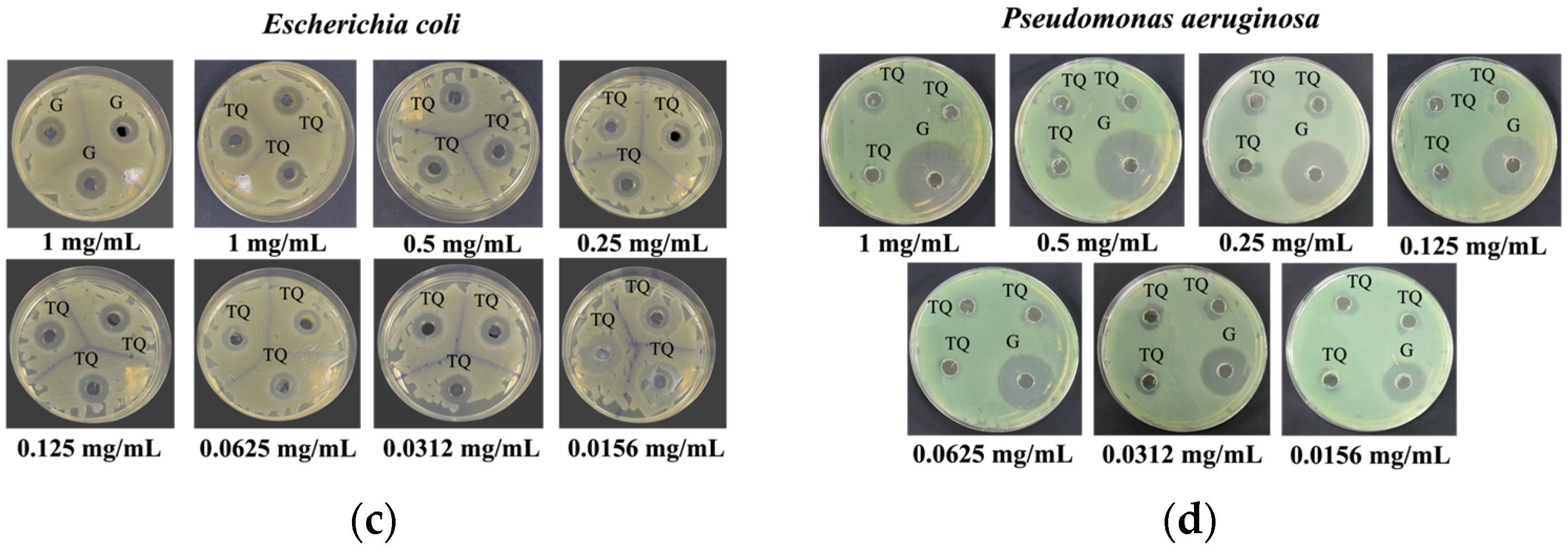 Pharmaceutics 16 01440 g002b
