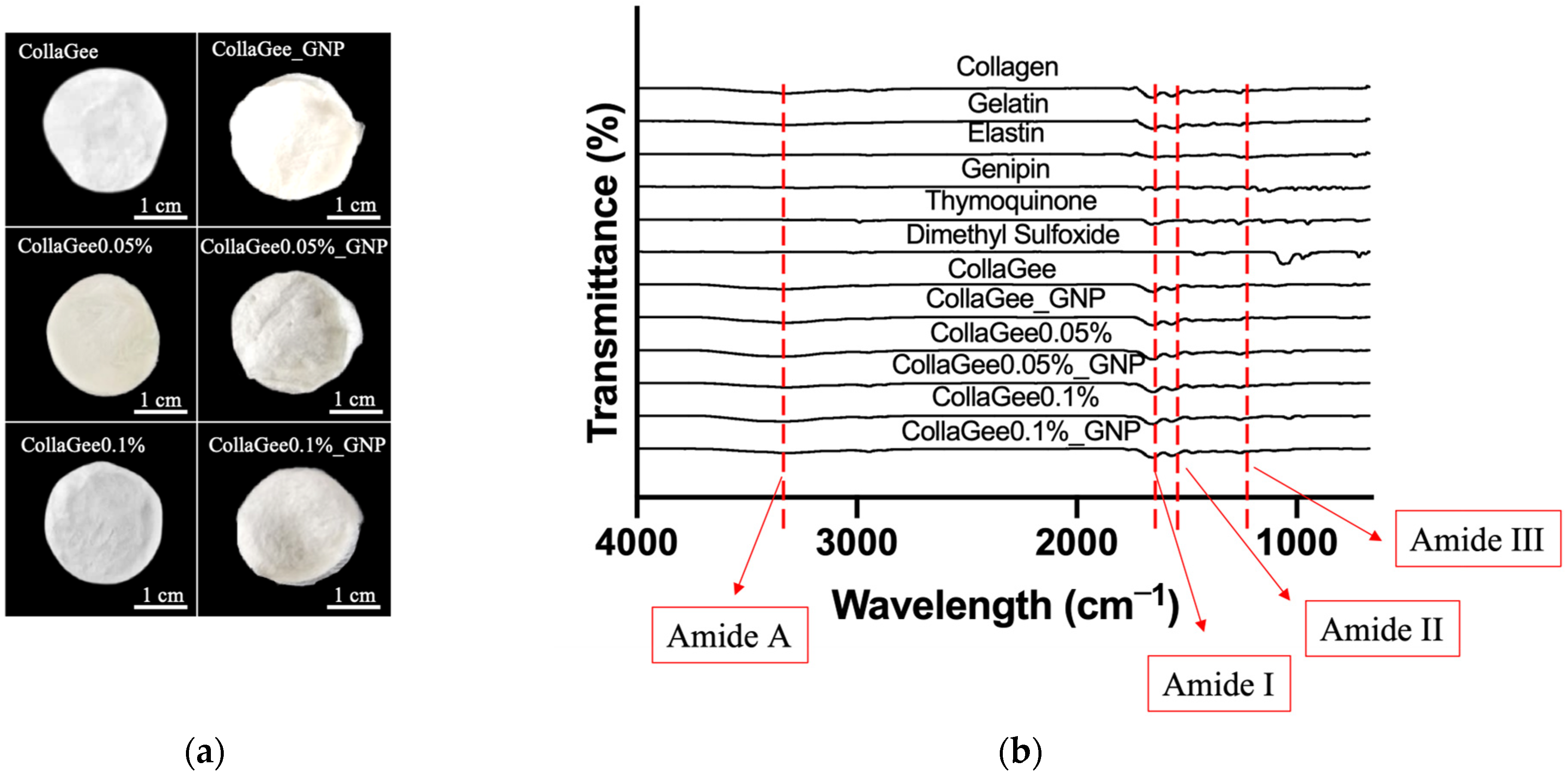 Pharmaceutics 16 01440 g004