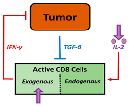 Pharmaceutics 16 01461 i003 Pharmaceutics 16 01461 i003