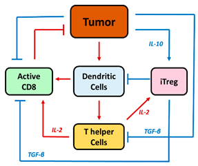 Pharmaceutics 16 01461 i004 Pharmaceutics 16 01461 i004