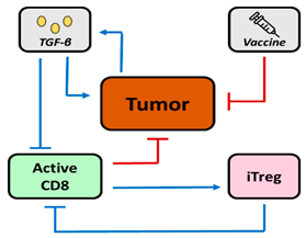 Pharmaceutics 16 01461 i005 Pharmaceutics 16 01461 i005