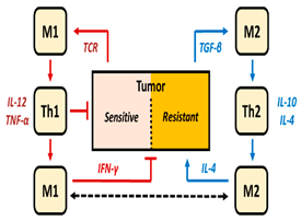 Pharmaceutics 16 01461 i006 Pharmaceutics 16 01461 i006