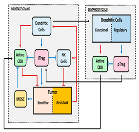 Pharmaceutics 16 01461 i007 Pharmaceutics 16 01461 i007