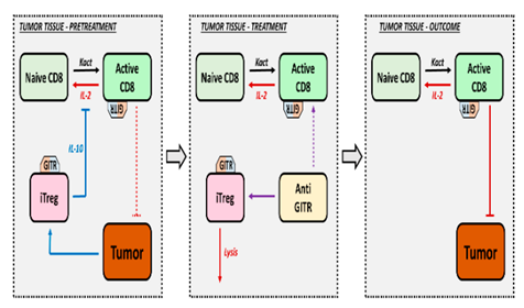 Pharmaceutics 16 01461 i008 Pharmaceutics 16 01461 i008