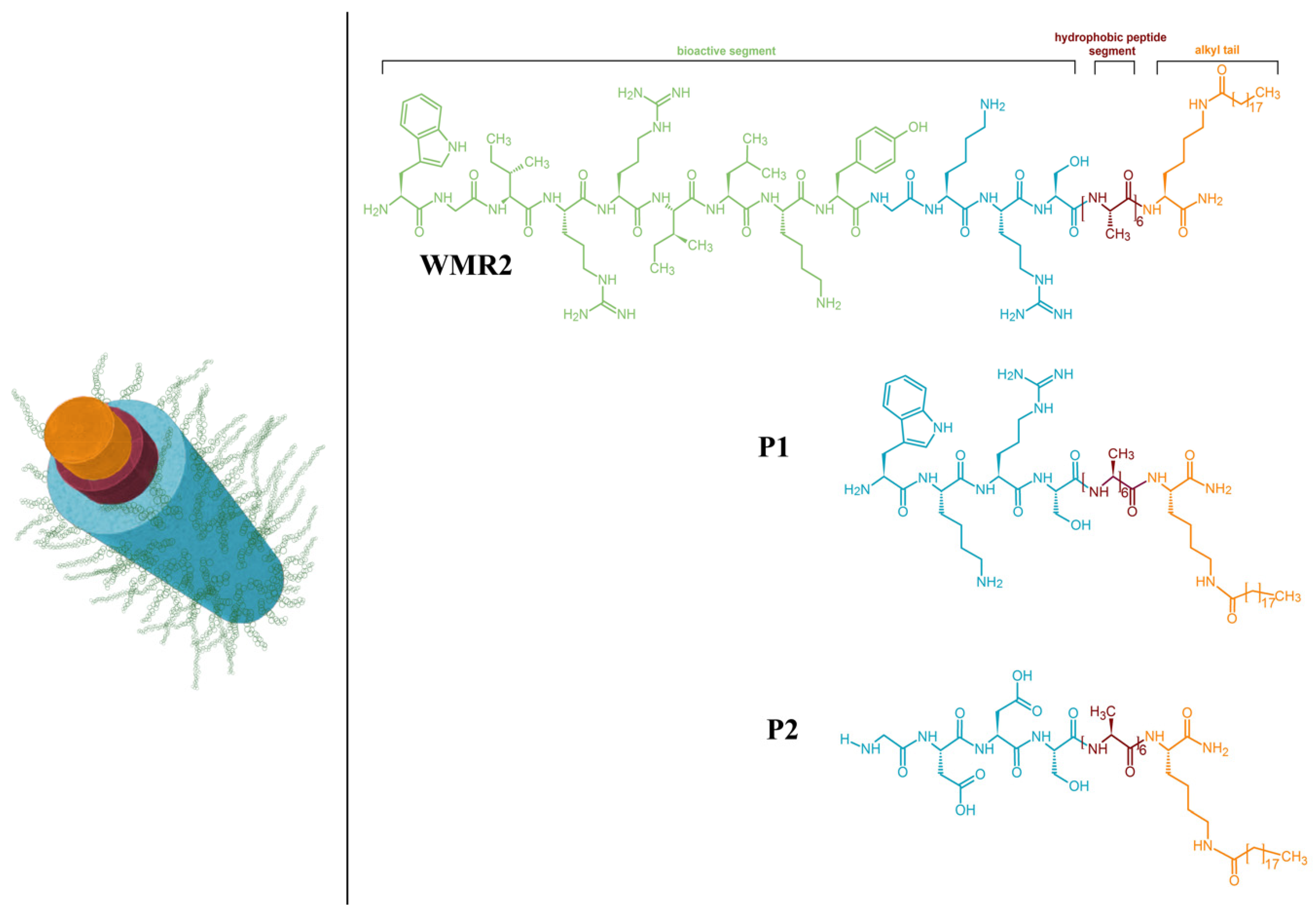 Pharmaceutics 16 01468 g003