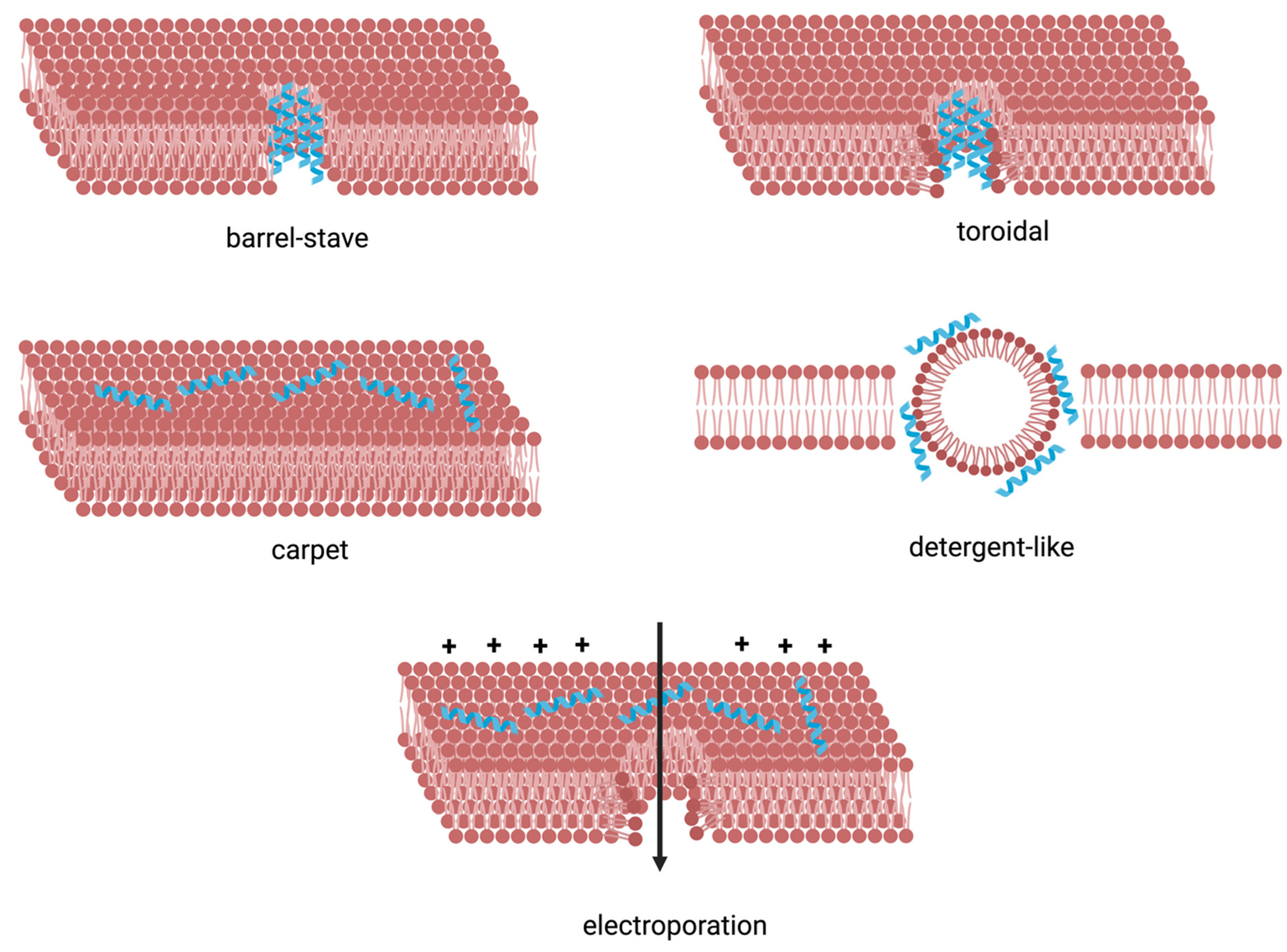 Pharmaceutics 16 01468 g004