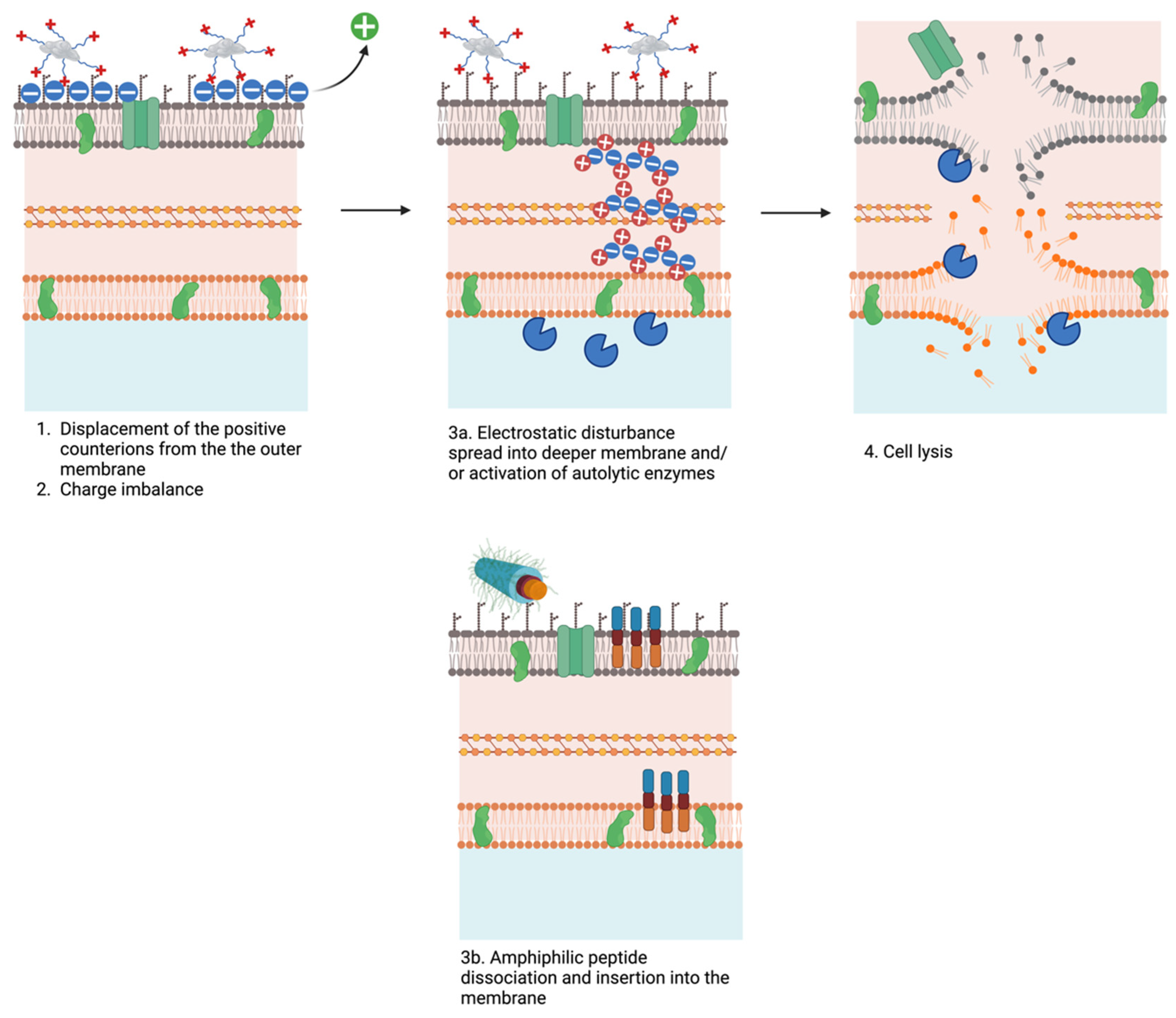 Pharmaceutics 16 01468 g005