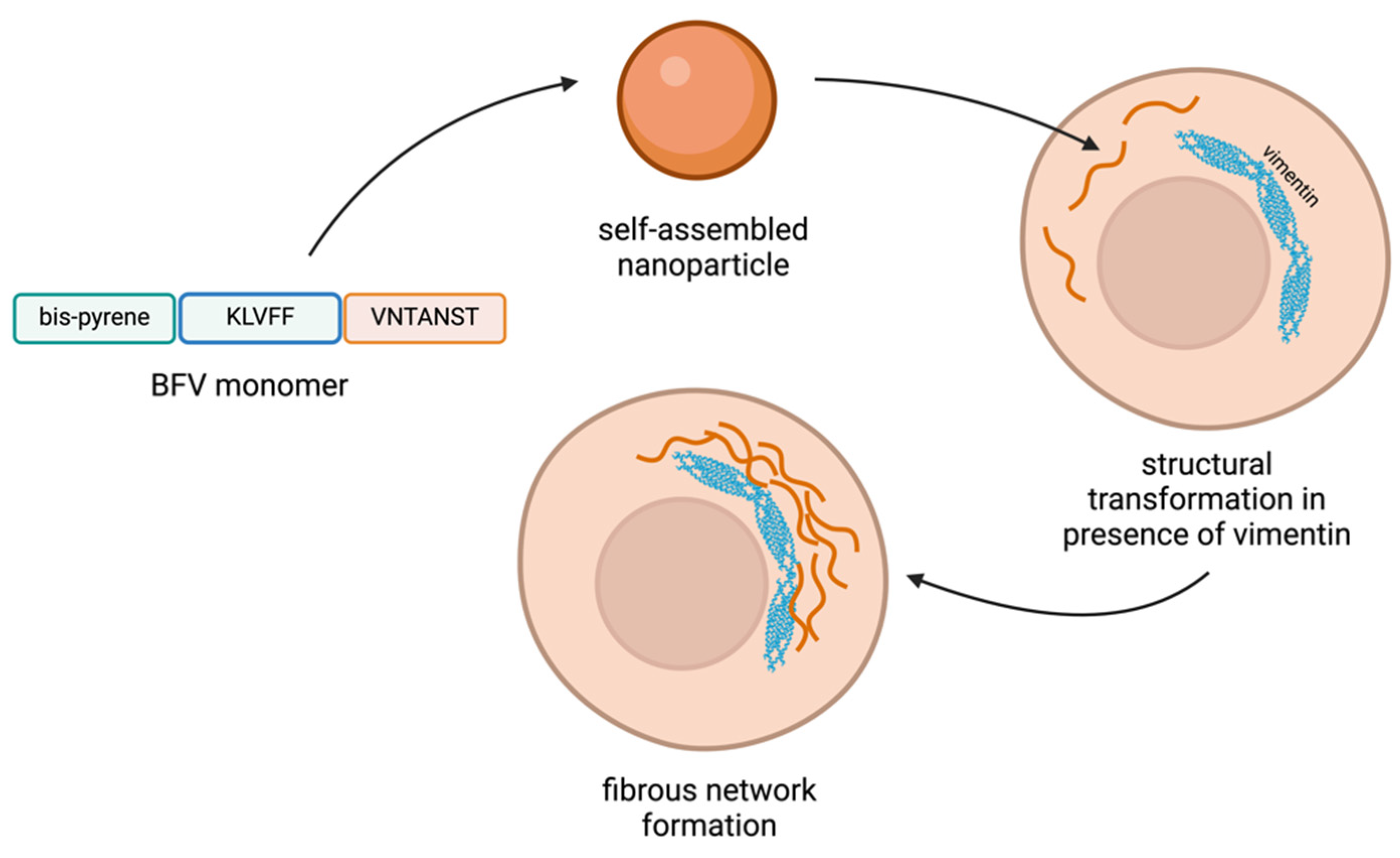 Pharmaceutics 16 01468 g006