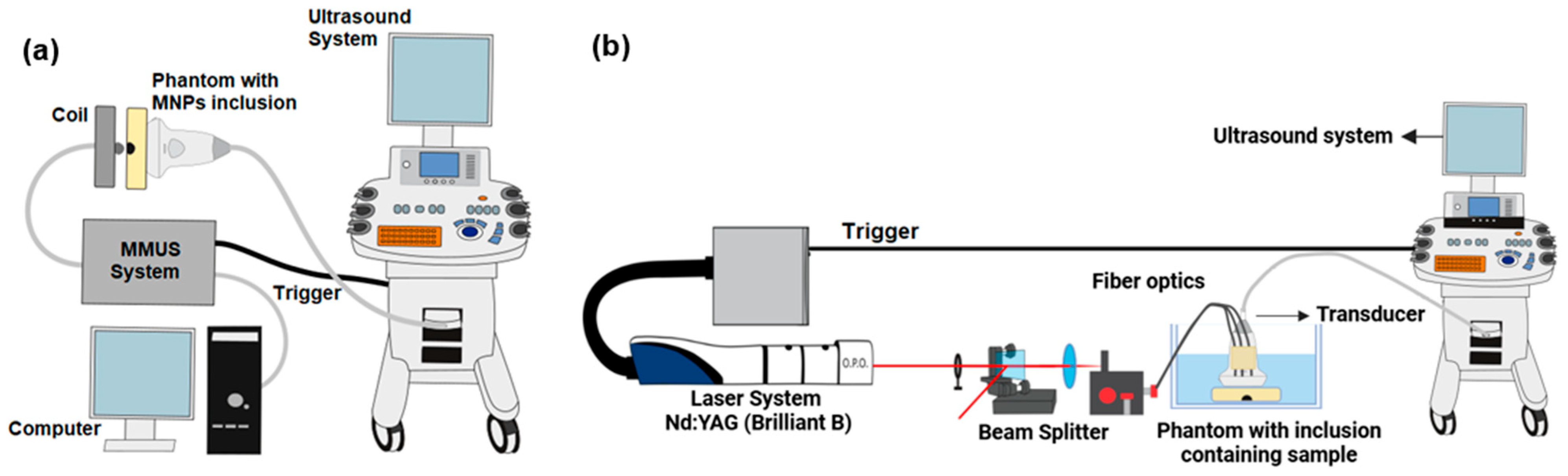 Pharmaceutics 16 01474 g001