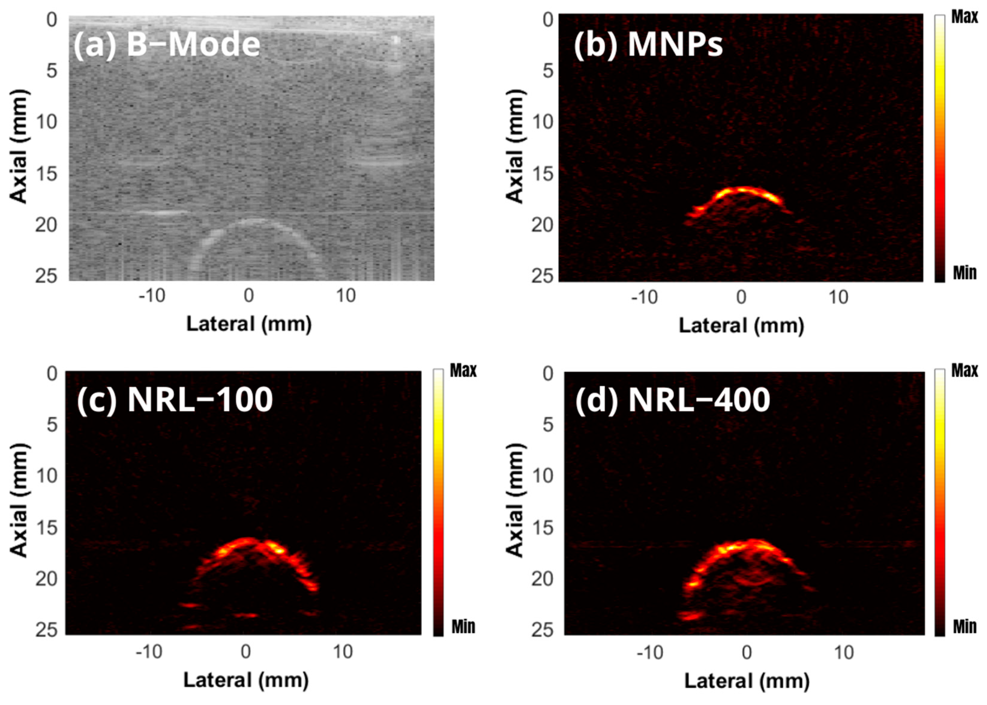 Pharmaceutics 16 01474 g011