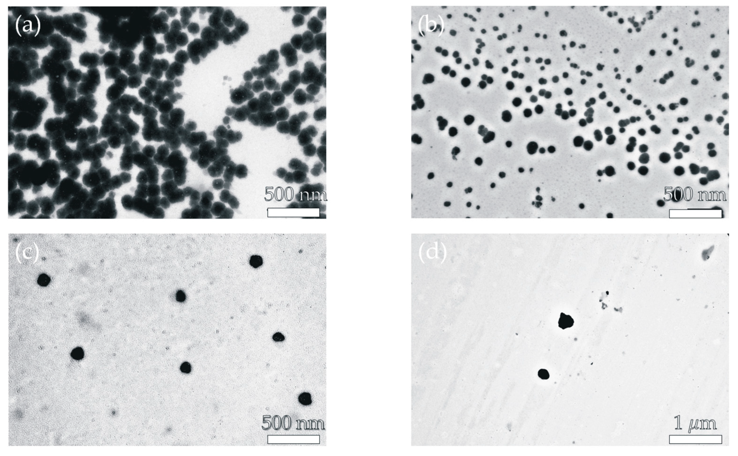 Pharmaceutics 16 01482 g005