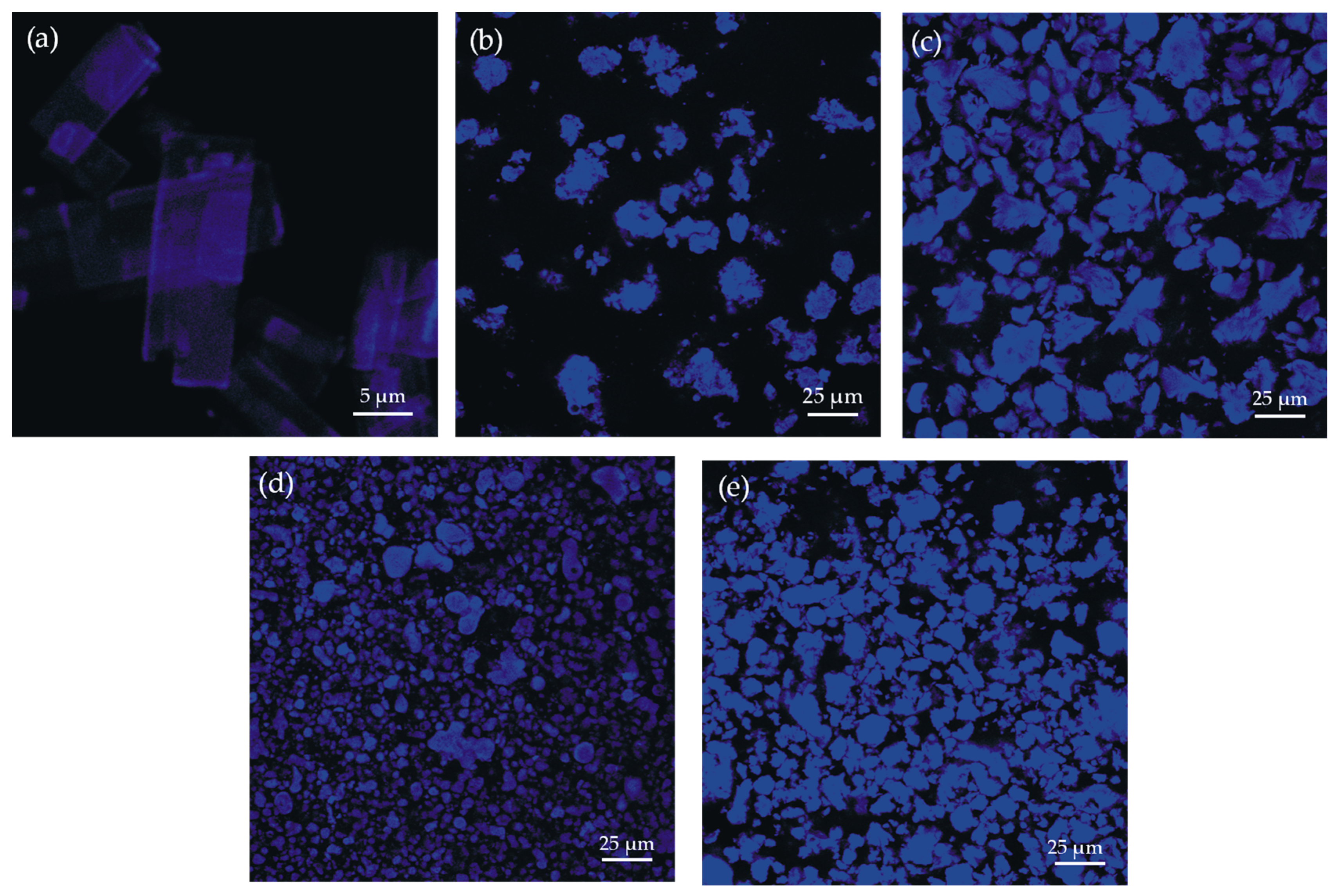 Pharmaceutics 16 01482 g006