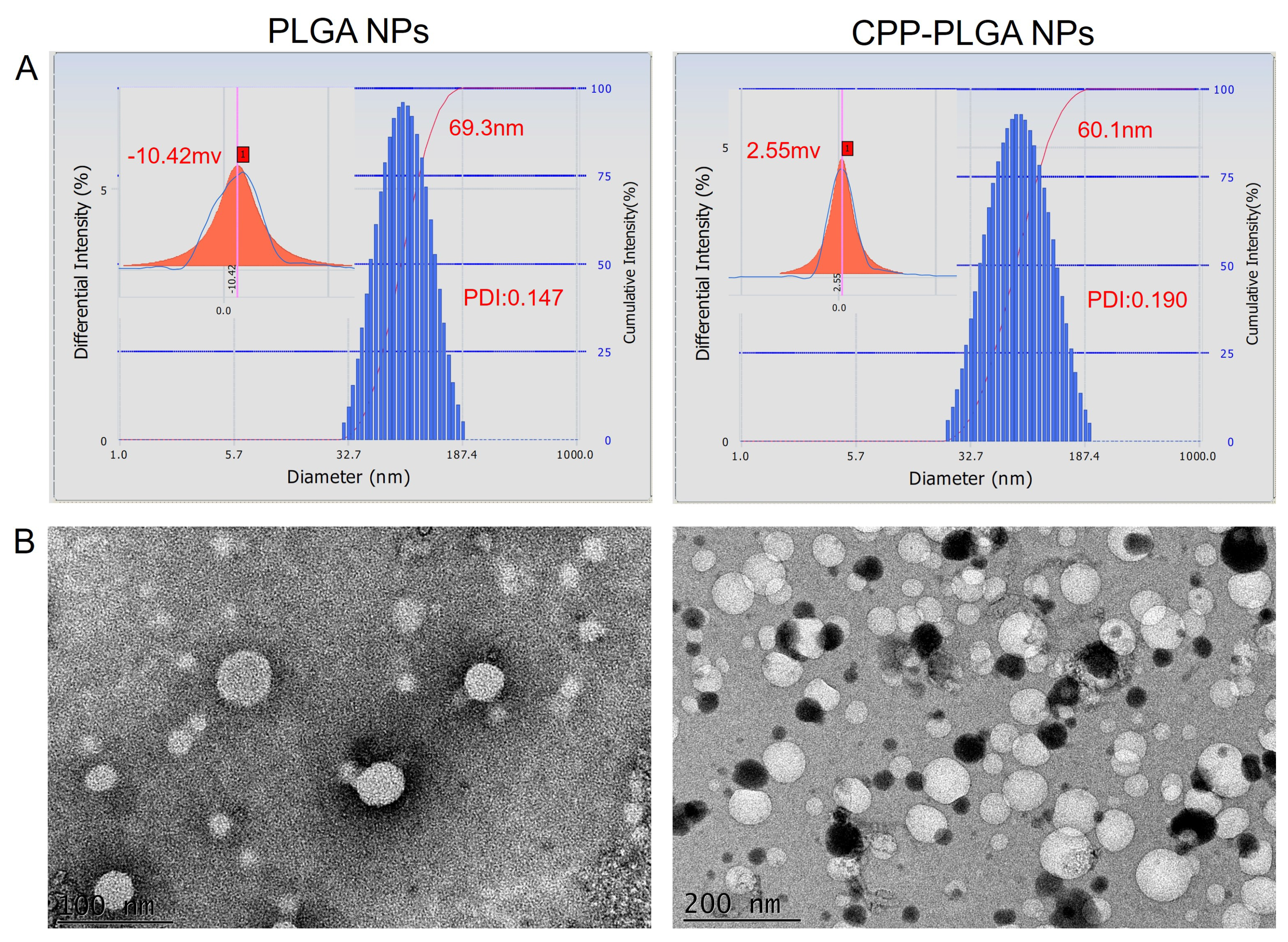 Pharmaceutics 16 01496 g001
