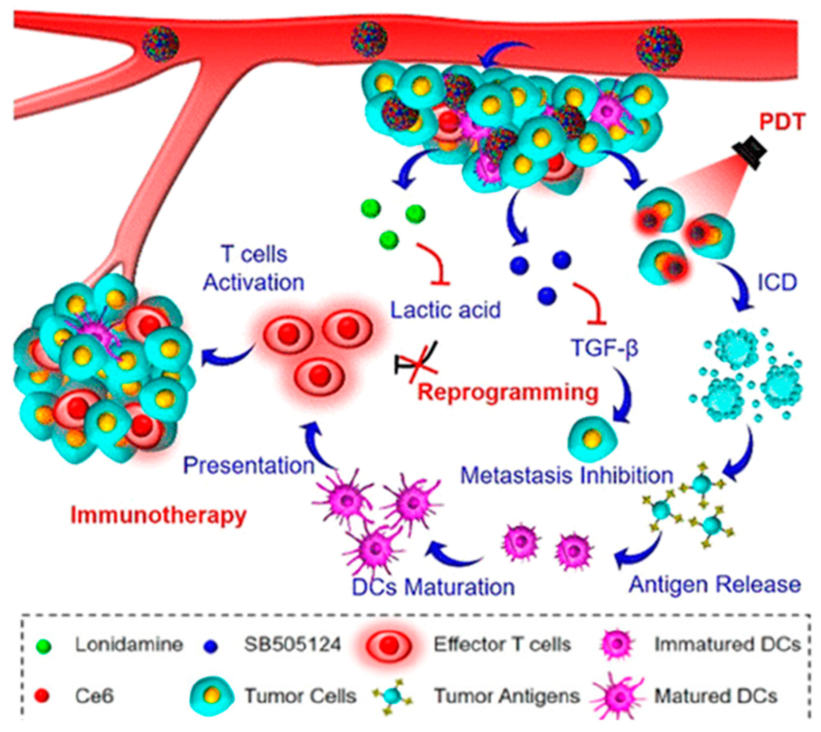 Pharmaceutics 16 01527 g009