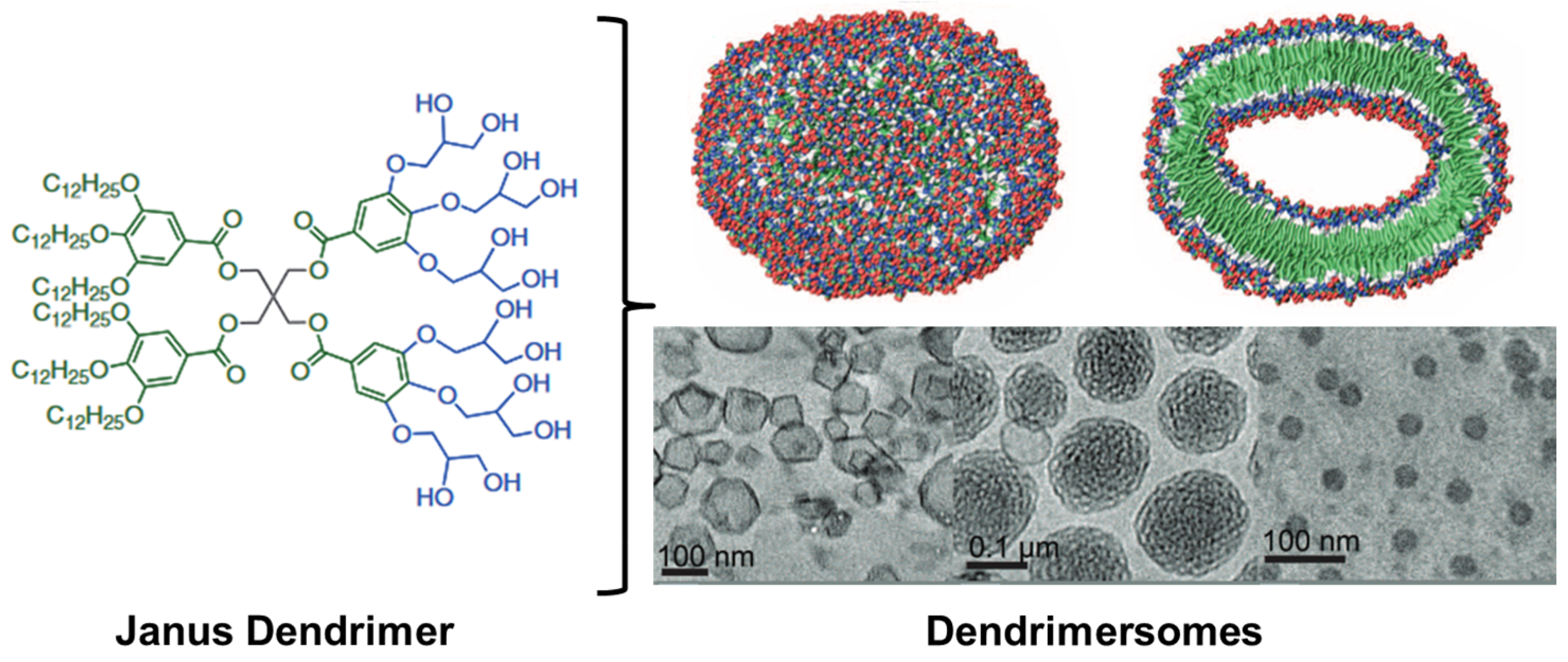 Pharmaceutics 16 01530 g013