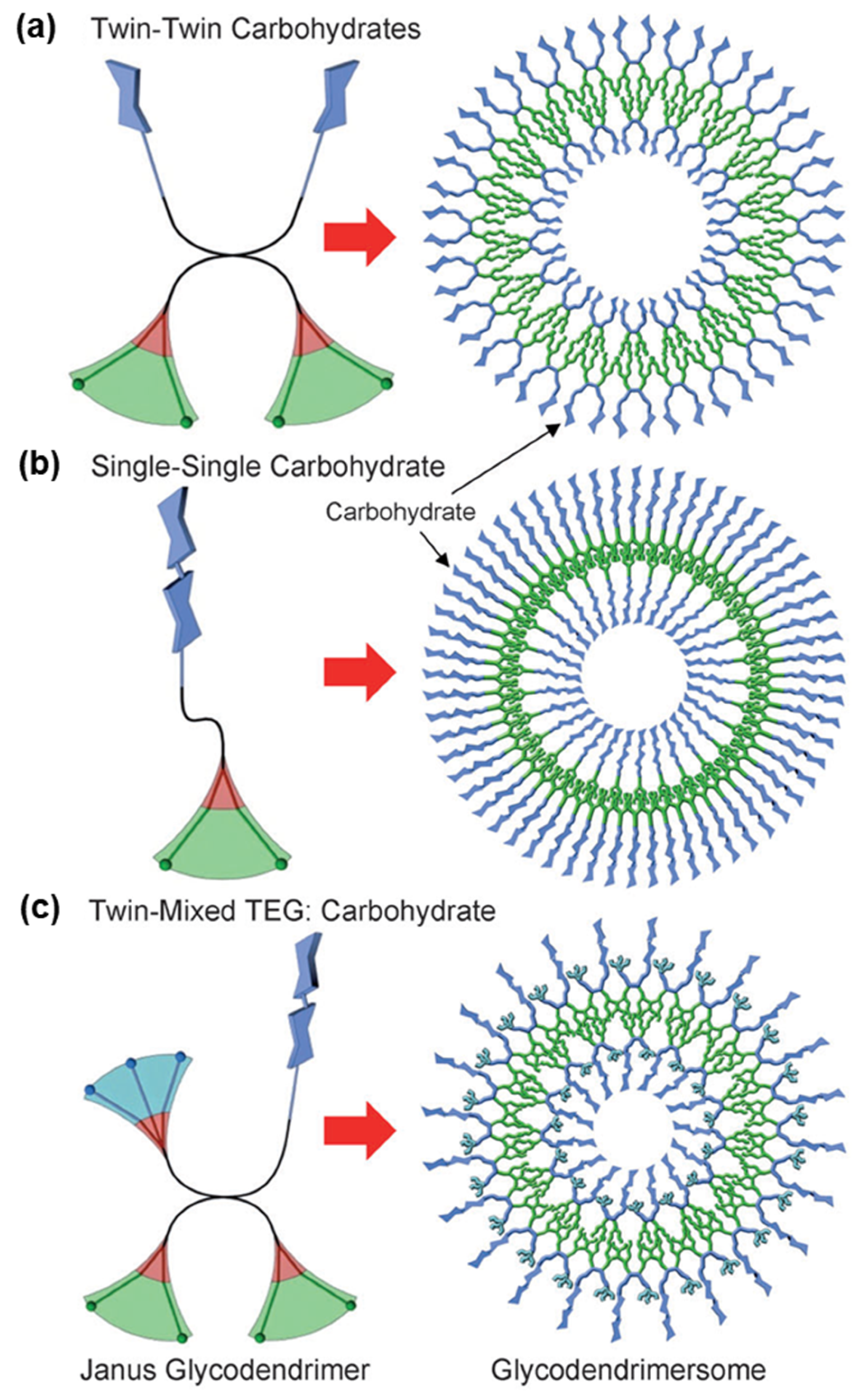 Pharmaceutics 16 01530 g014