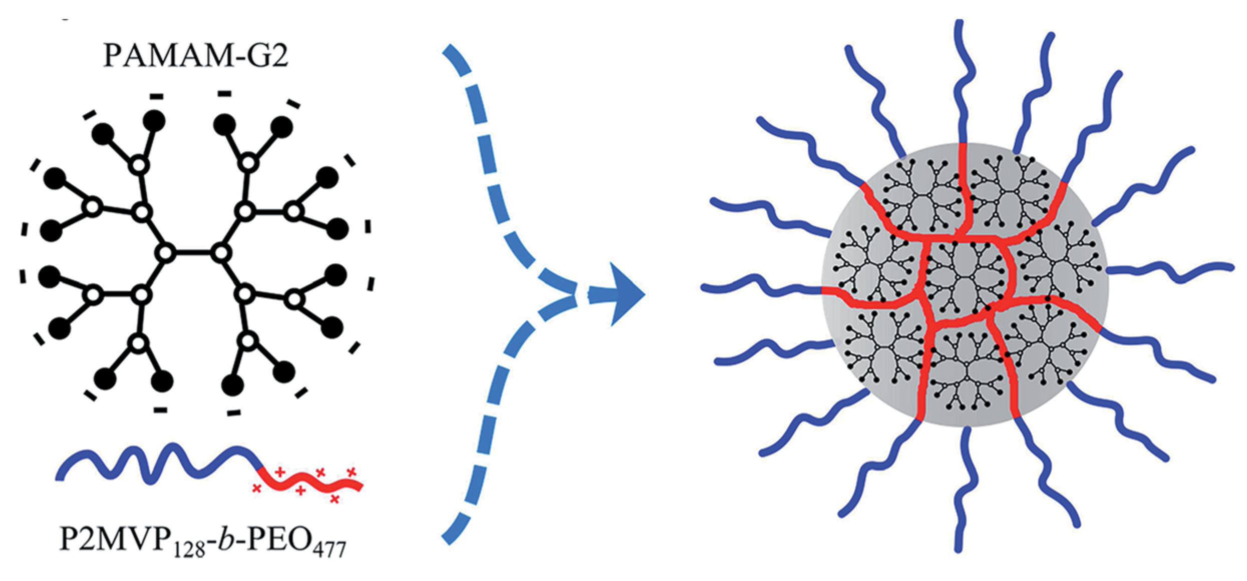 Pharmaceutics 16 01530 g019
