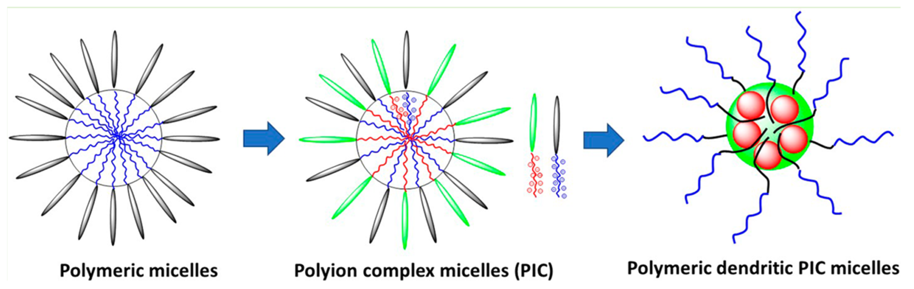 Pharmaceutics 16 01530 g021