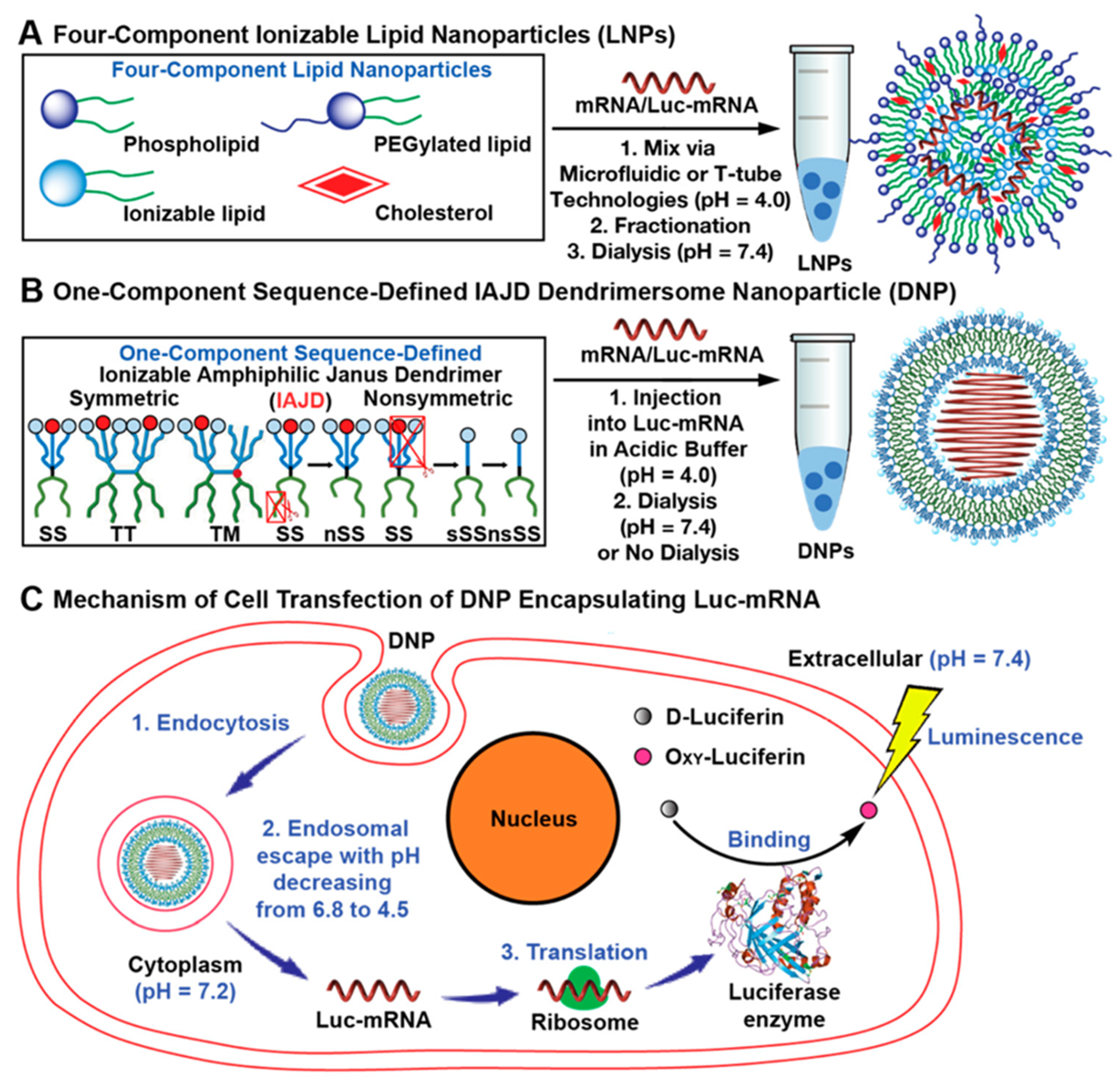 Pharmaceutics 16 01530 g024