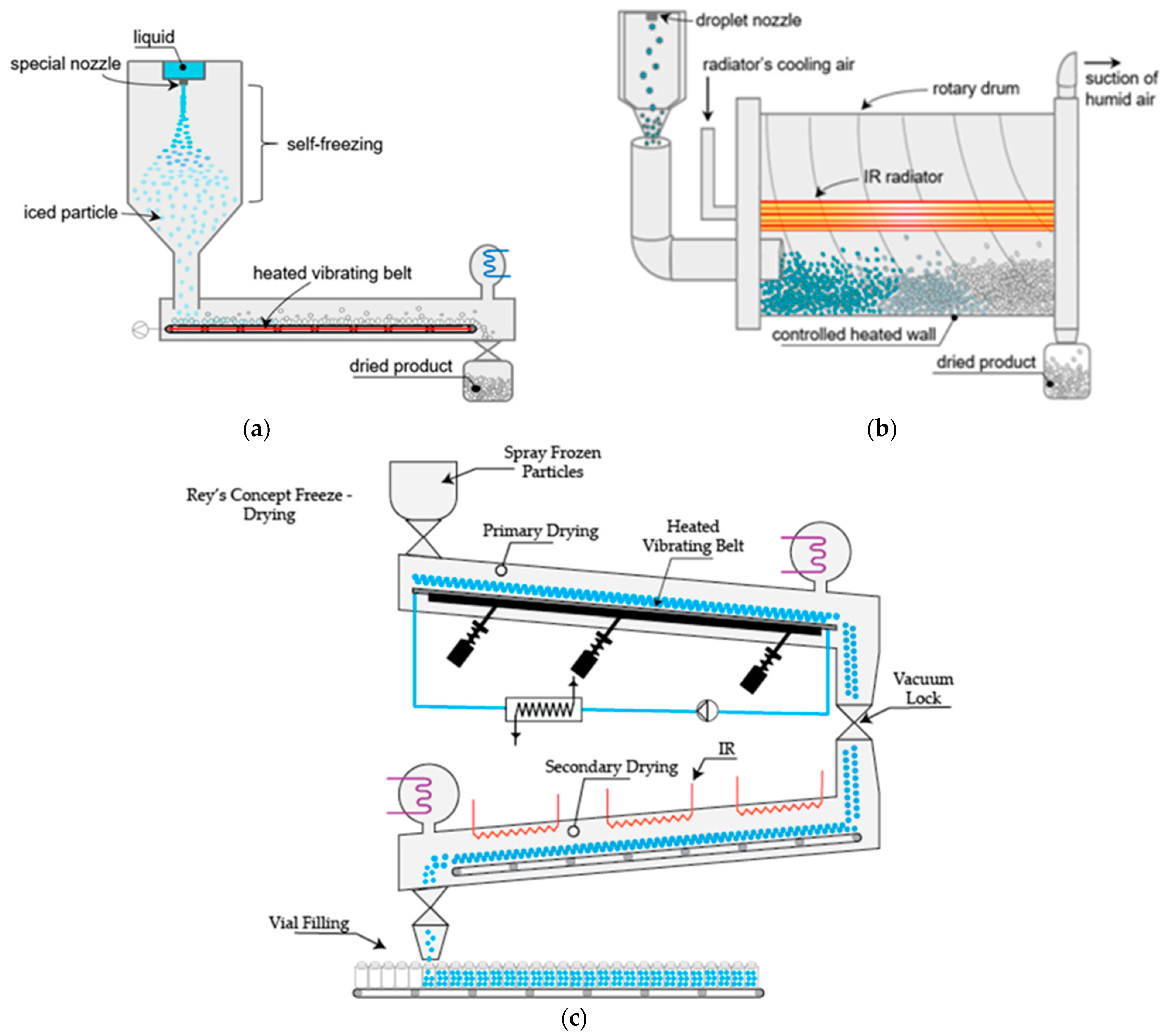 Pharmaceutics 16 01533 g005