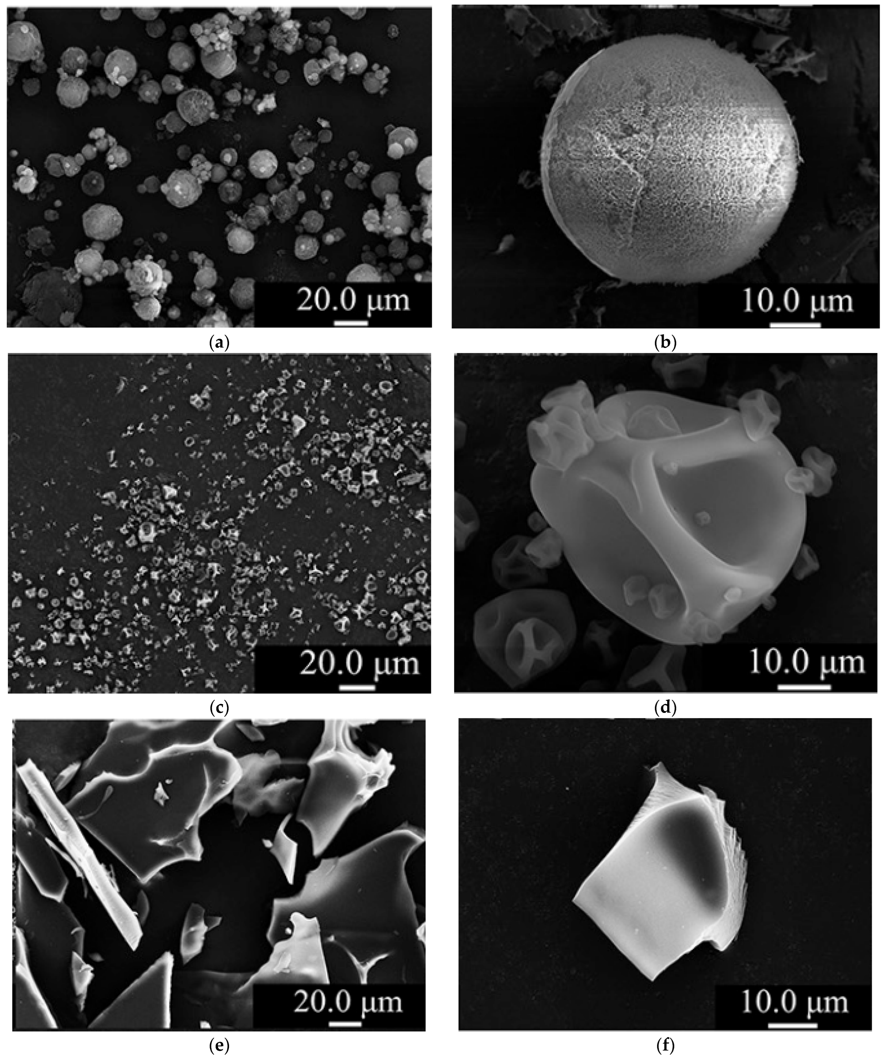 Pharmaceutics 16 01533 g006
