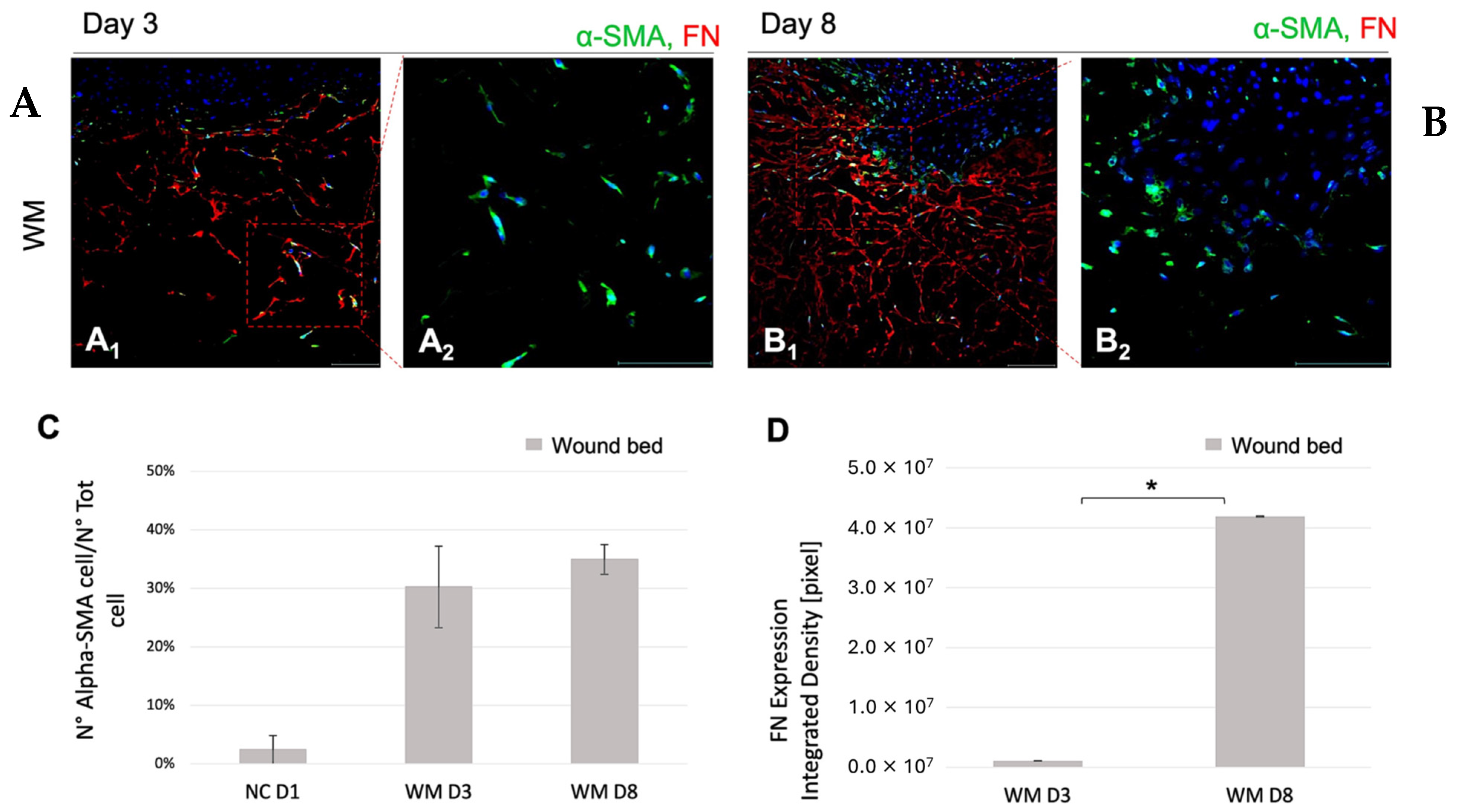 Pharmaceutics 16 01539 g006