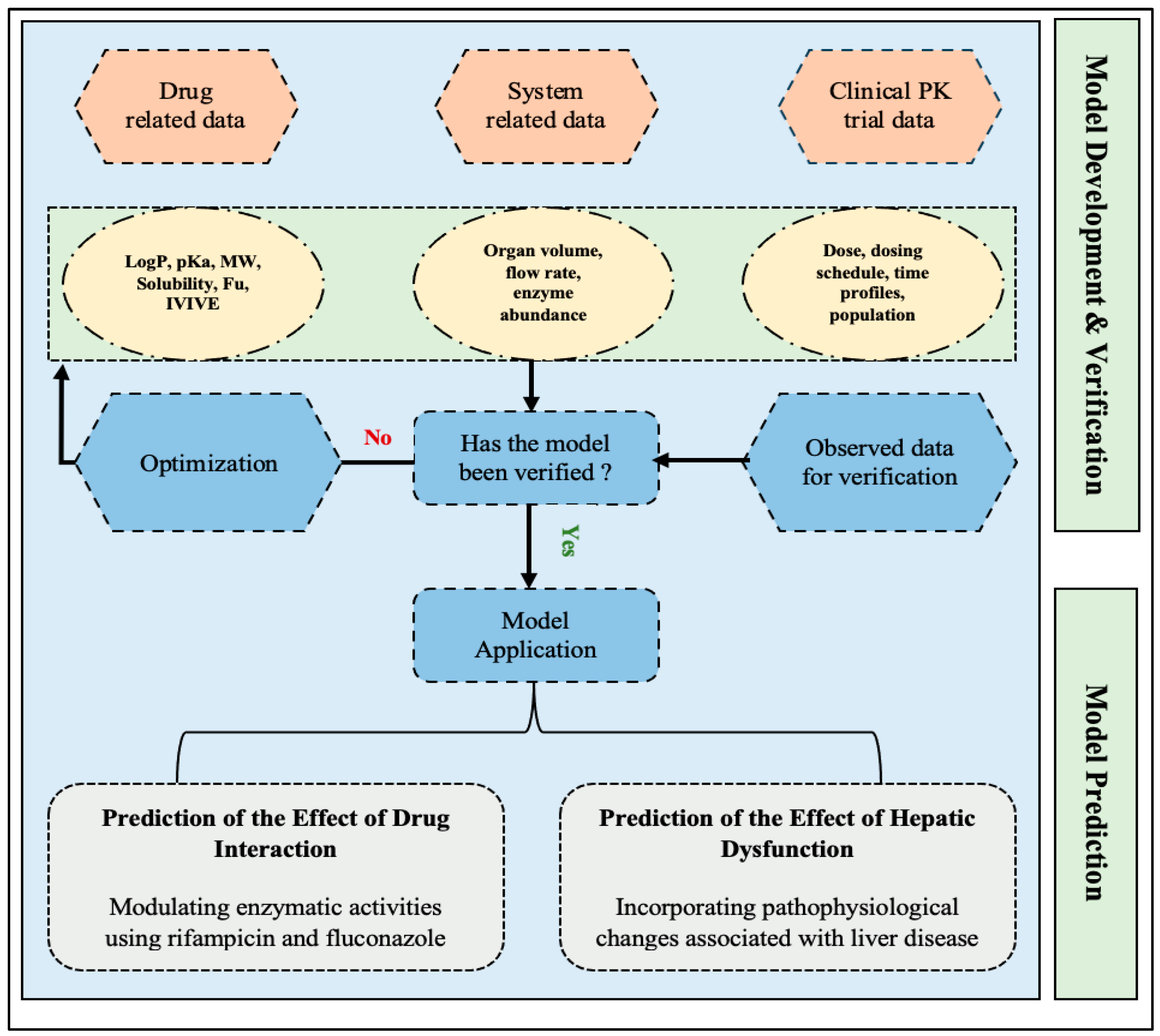 Pharmaceutics 16 01540 g001