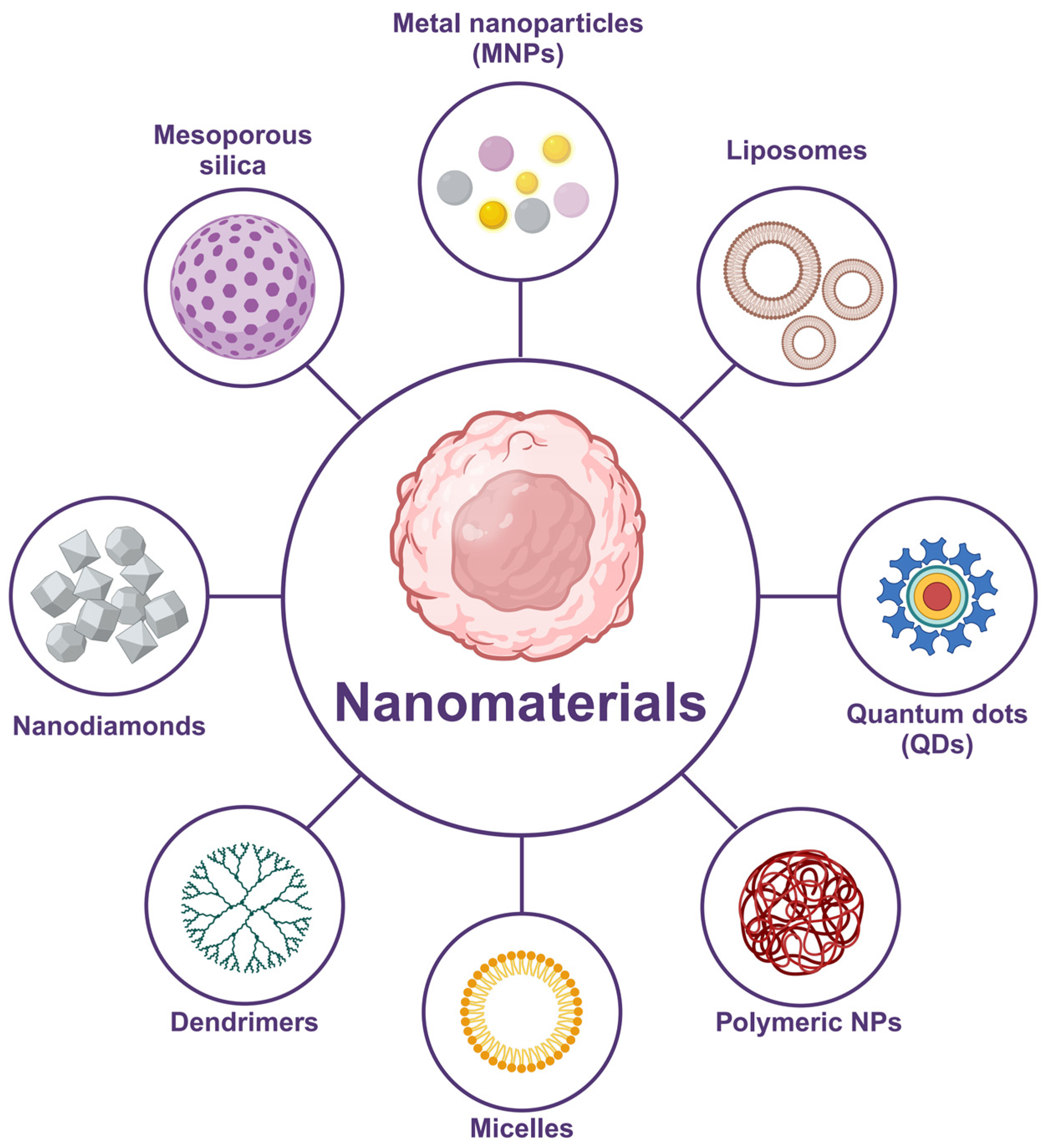 Pharmaceutics 16 01549 g002 Pharmaceutics 16 01549 g002