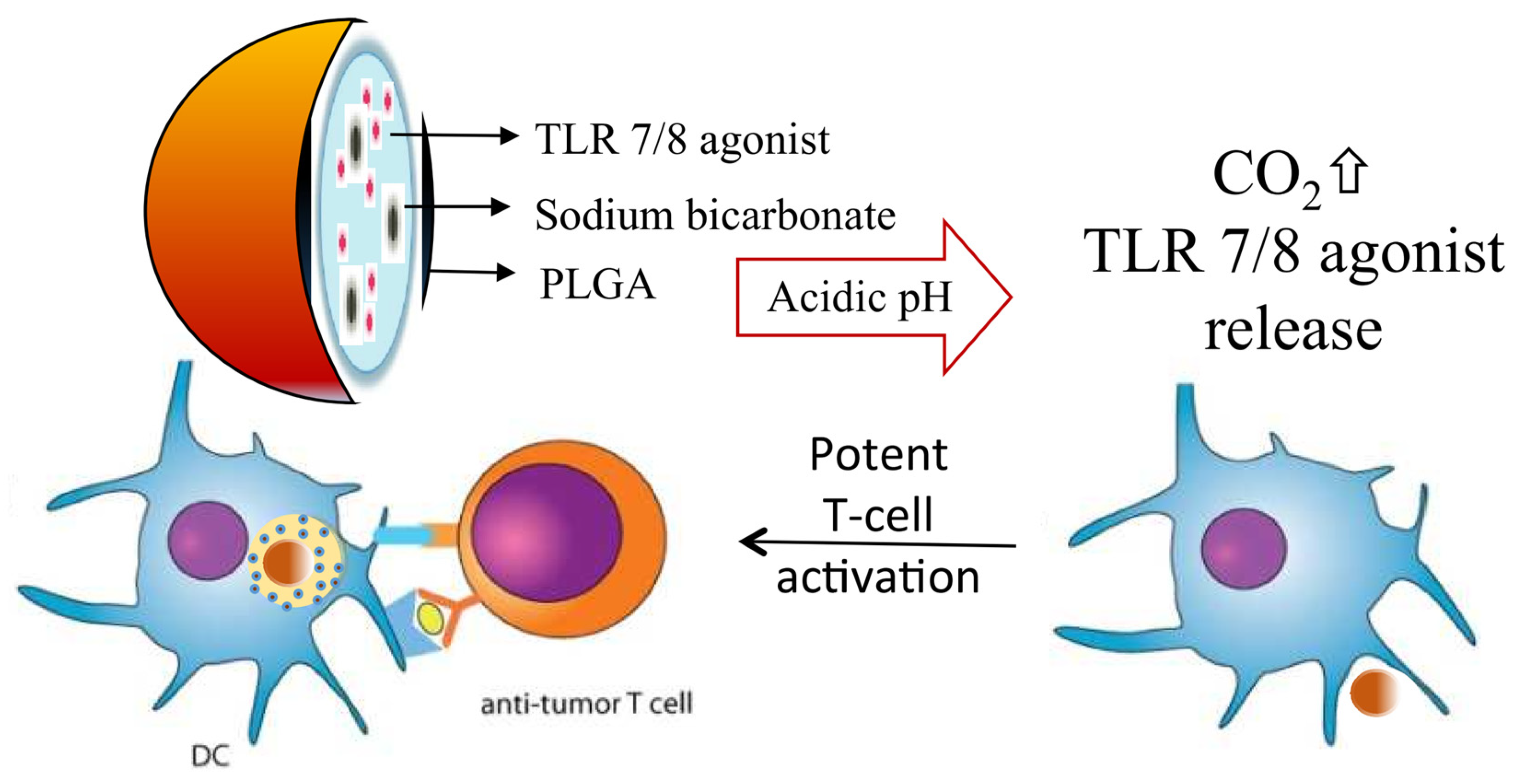 Pharmaceutics 16 01549 g004 Pharmaceutics 16 01549 g004