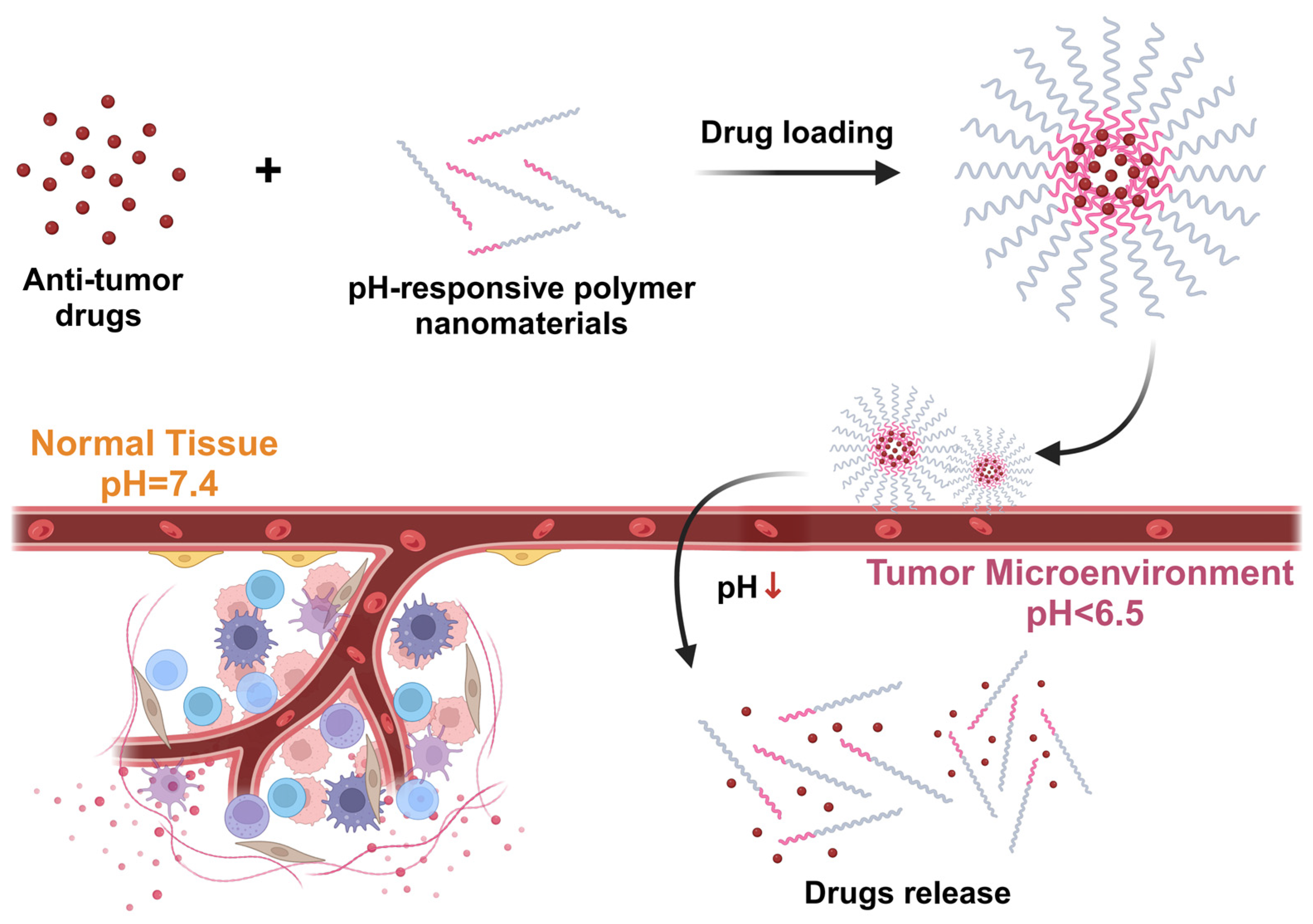 Pharmaceutics 16 01549 g006 Pharmaceutics 16 01549 g006
