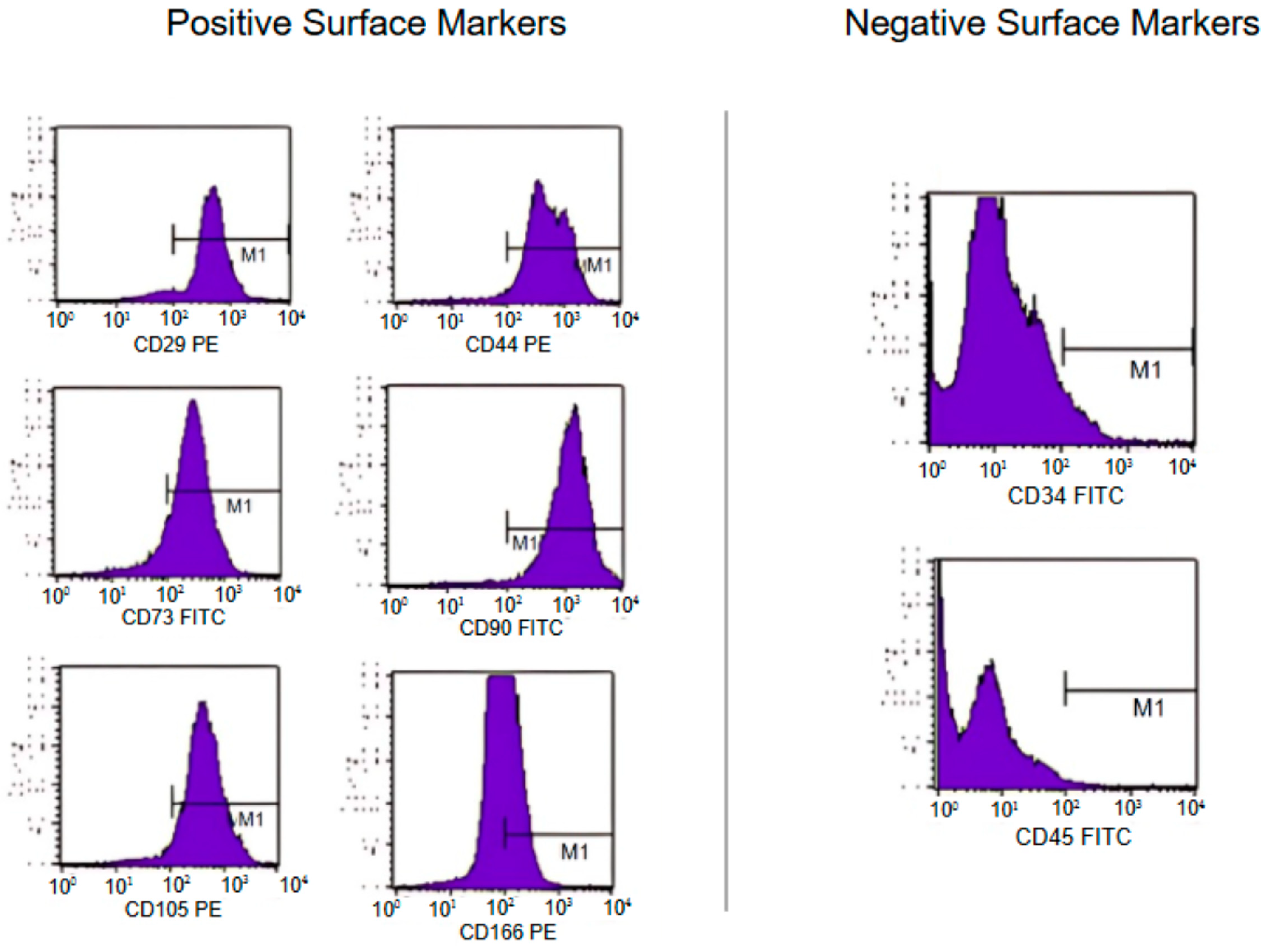Pharmaceutics 16 01558 g004 Pharmaceutics 16 01558 g004