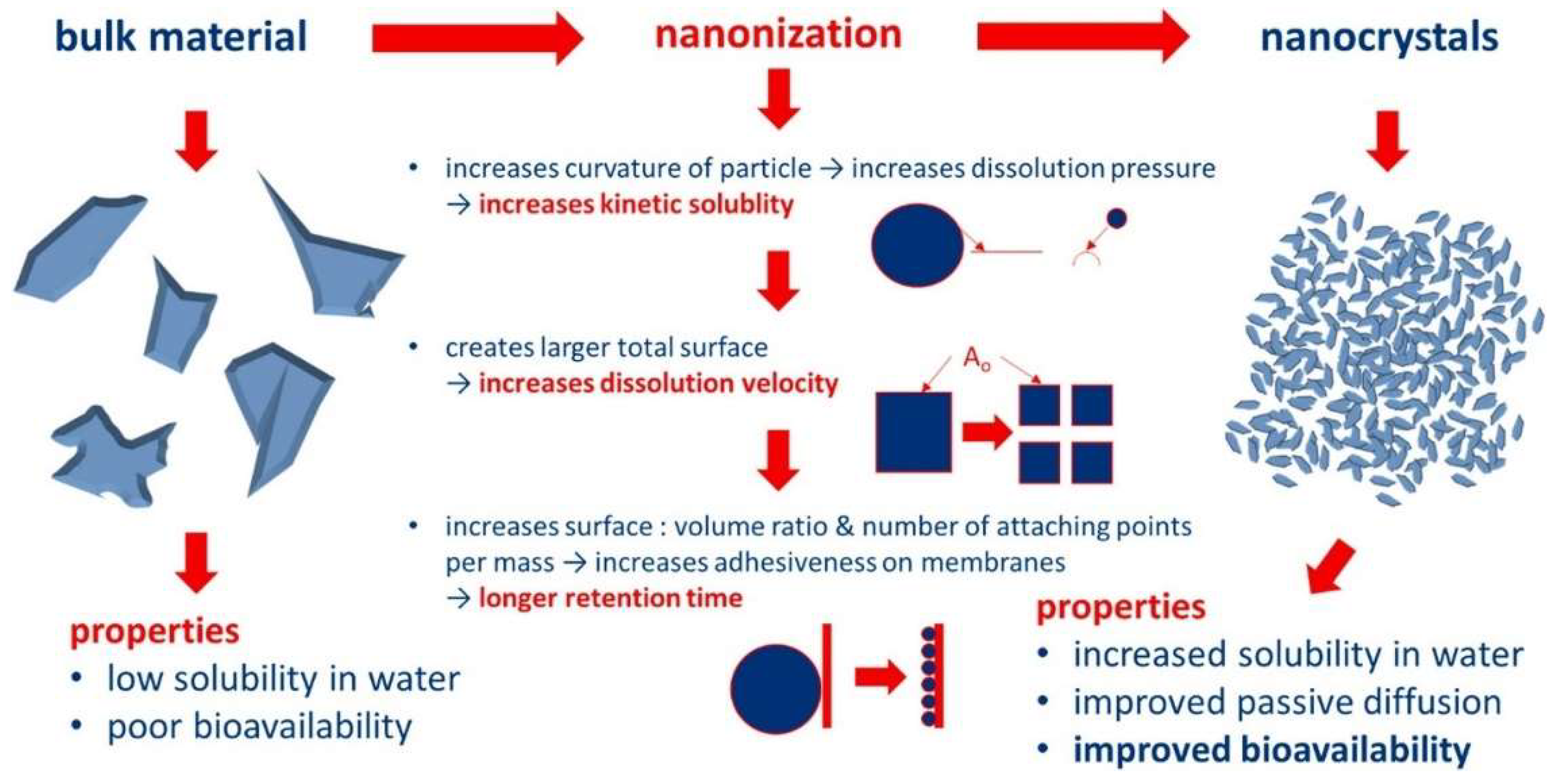 Pharmaceutics 16 01561 g003