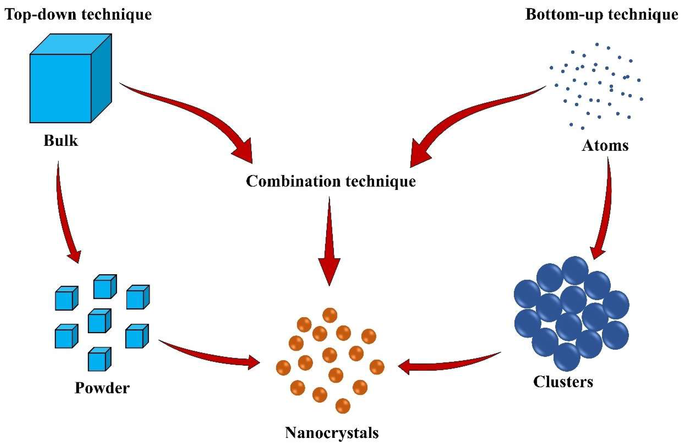 Pharmaceutics 16 01561 g004