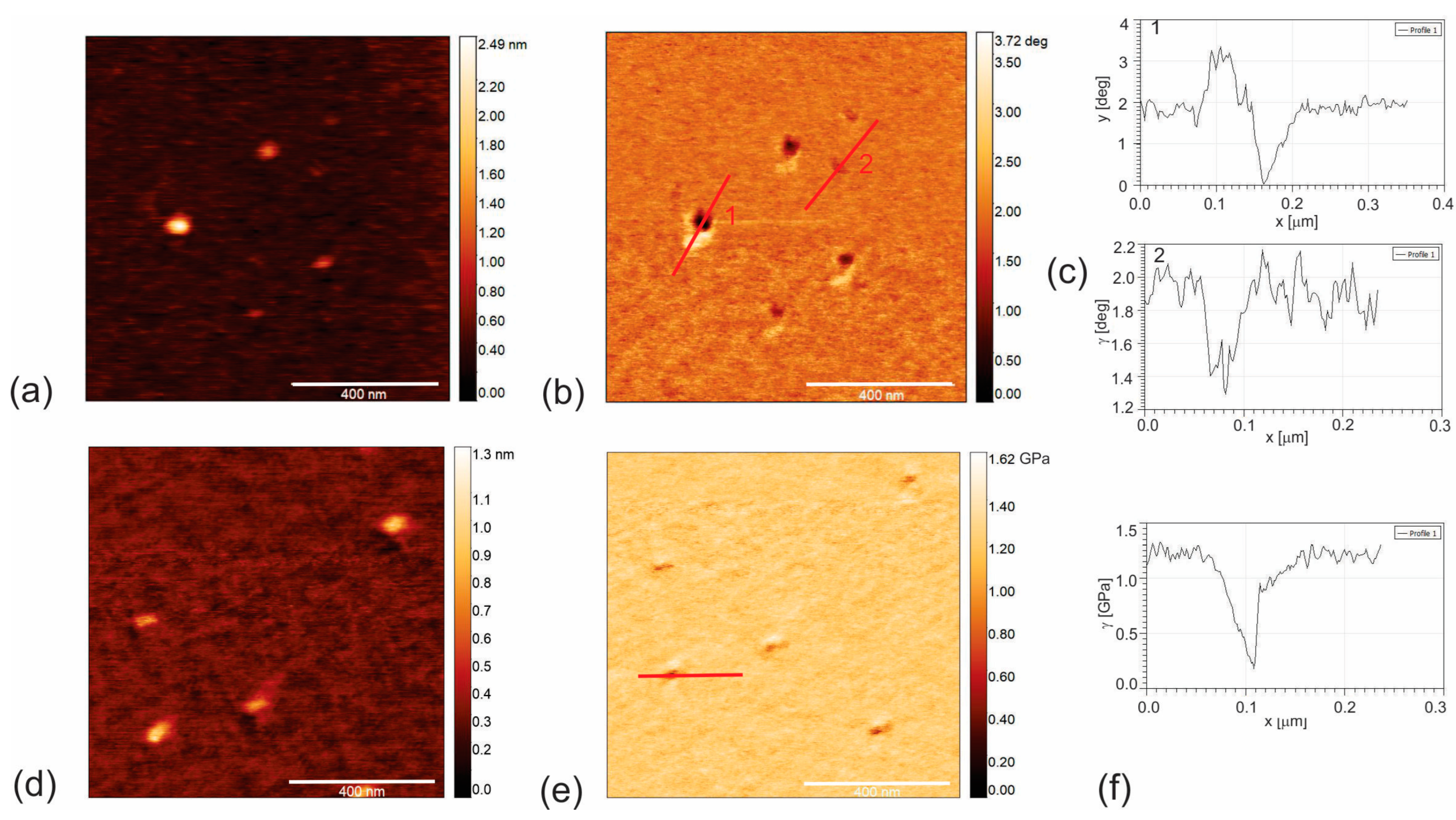 Pharmaceutics 16 01565 g001